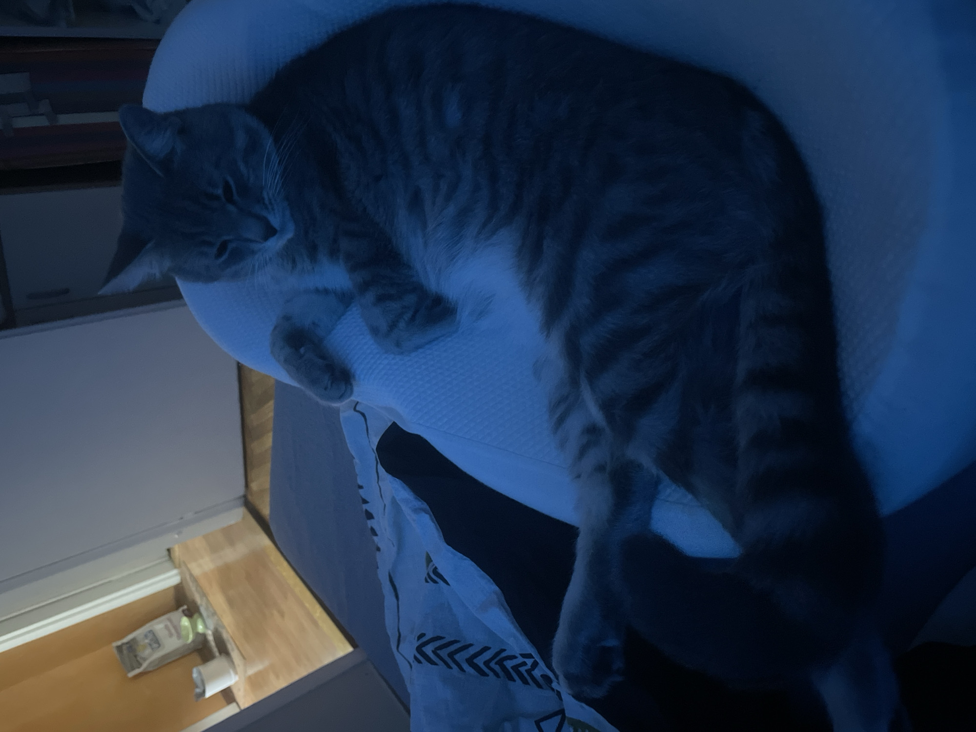 A gray tabby cat rests on a white, round cushion. The cat is positioned towards the left side of the frame, with its head resting on the cushion. The cat's body extends across the cushion, with its paws dangling over the edge. Below the cushion, a white patterned fabric is visible. To the left of the cushion and fabric, a partially visible piece of furniture with open drawers is present. The drawers contain various items. The photo's location is unspecified.