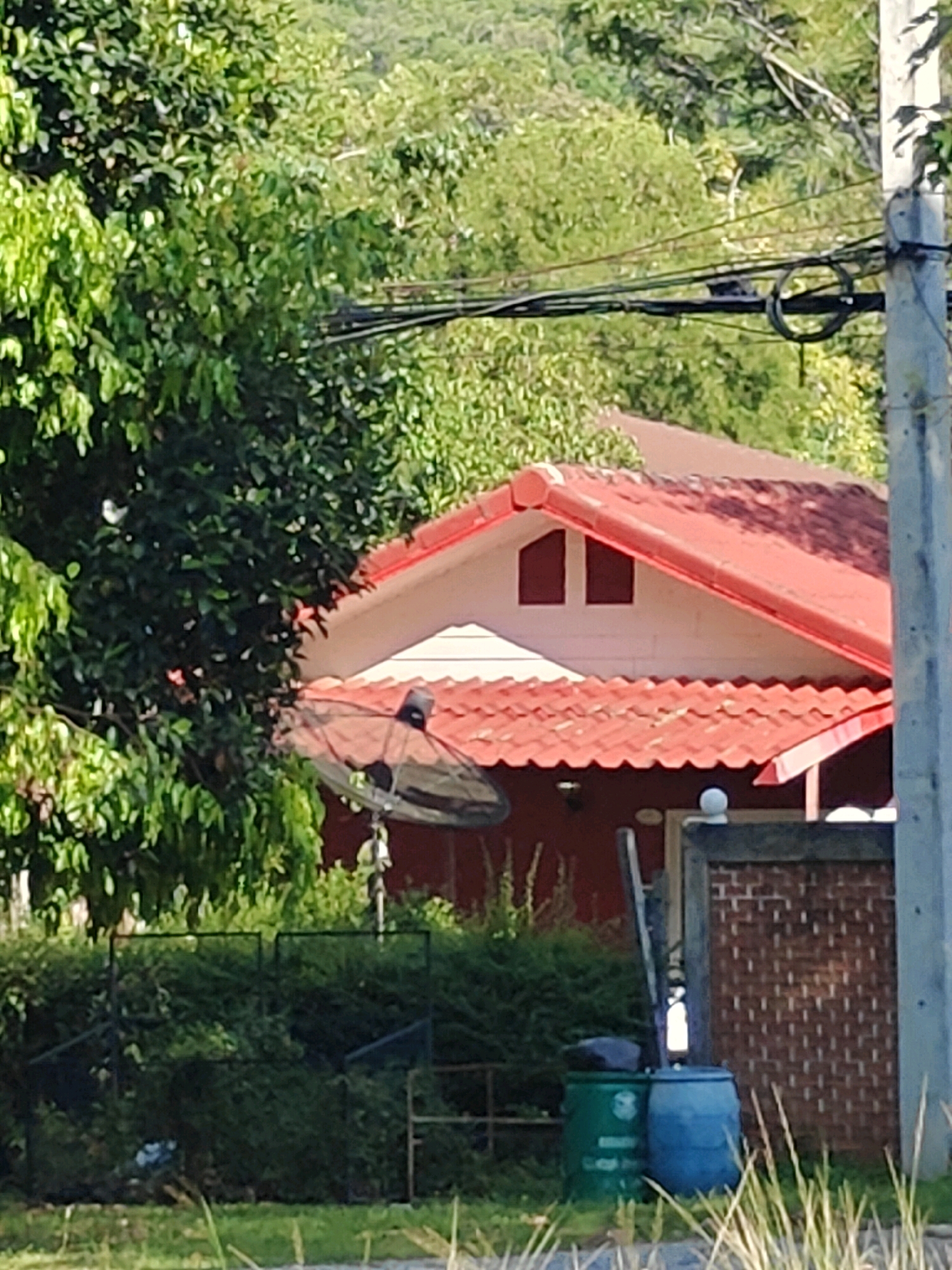 The image captures a scene in Khao Yai, Thailand, dominated by lush green foliage and a portion of a building with a red tiled roof. A satellite dish is prominently positioned in front of the structure. Overhead, electrical wires traverse the frame, supported by a utility pole on the right. In the foreground, two large plastic barrels, one green and one blue, are situated near a fence made of woven material. The overall impression is a residential or rural setting within the natural landscape of Khao Yai.