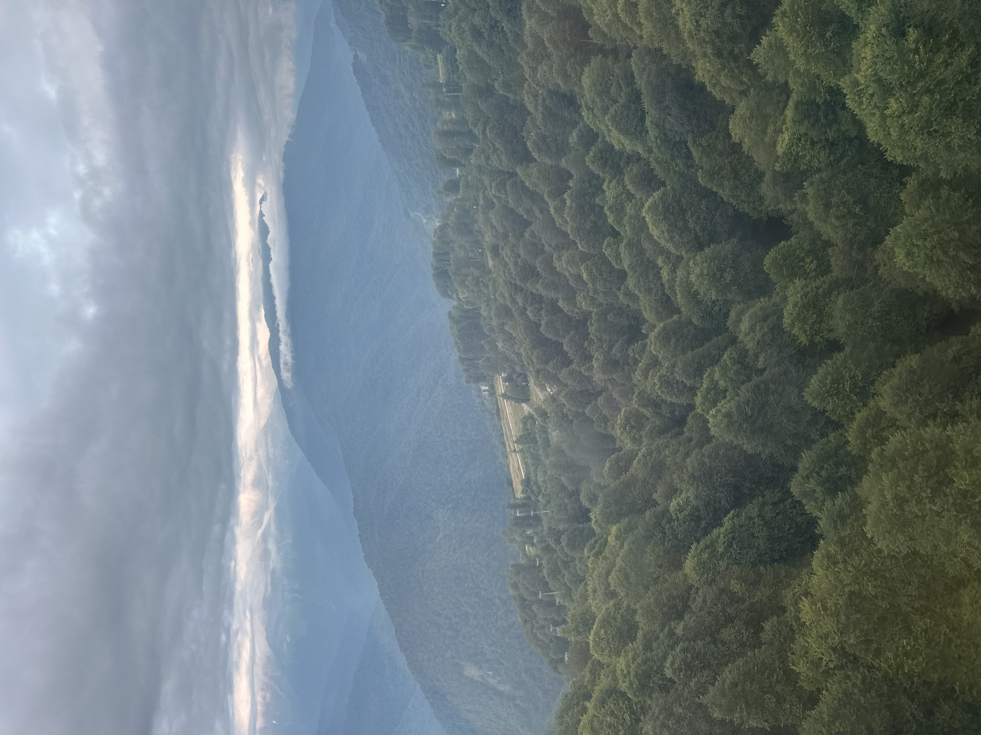 An aerial shot captures a panoramic view of lush, rolling mountains blanketed in dense green foliage. The foreground is dominated by a thick forest of trees, their rounded canopies creating a textured carpet that recedes into the distance. Beyond the immediate forest, the slopes of more distant mountains are visible, also covered in trees but appearing hazier and more muted in color due to atmospheric perspective. Faint traces of a dirt road or ski slope are discernible on one of the mid-ground mountain slopes. The sky above is overcast with heavy, gray clouds, but a sliver of brighter light breaks through in the distance, illuminating the peaks of the farthest mountains. The overall scene evokes a sense of serene, natural grandeur. This landscape is characteristic of the mountainous region surrounding Estosadok, Russia, a popular resort town known for its natural beauty and outdoor activities.