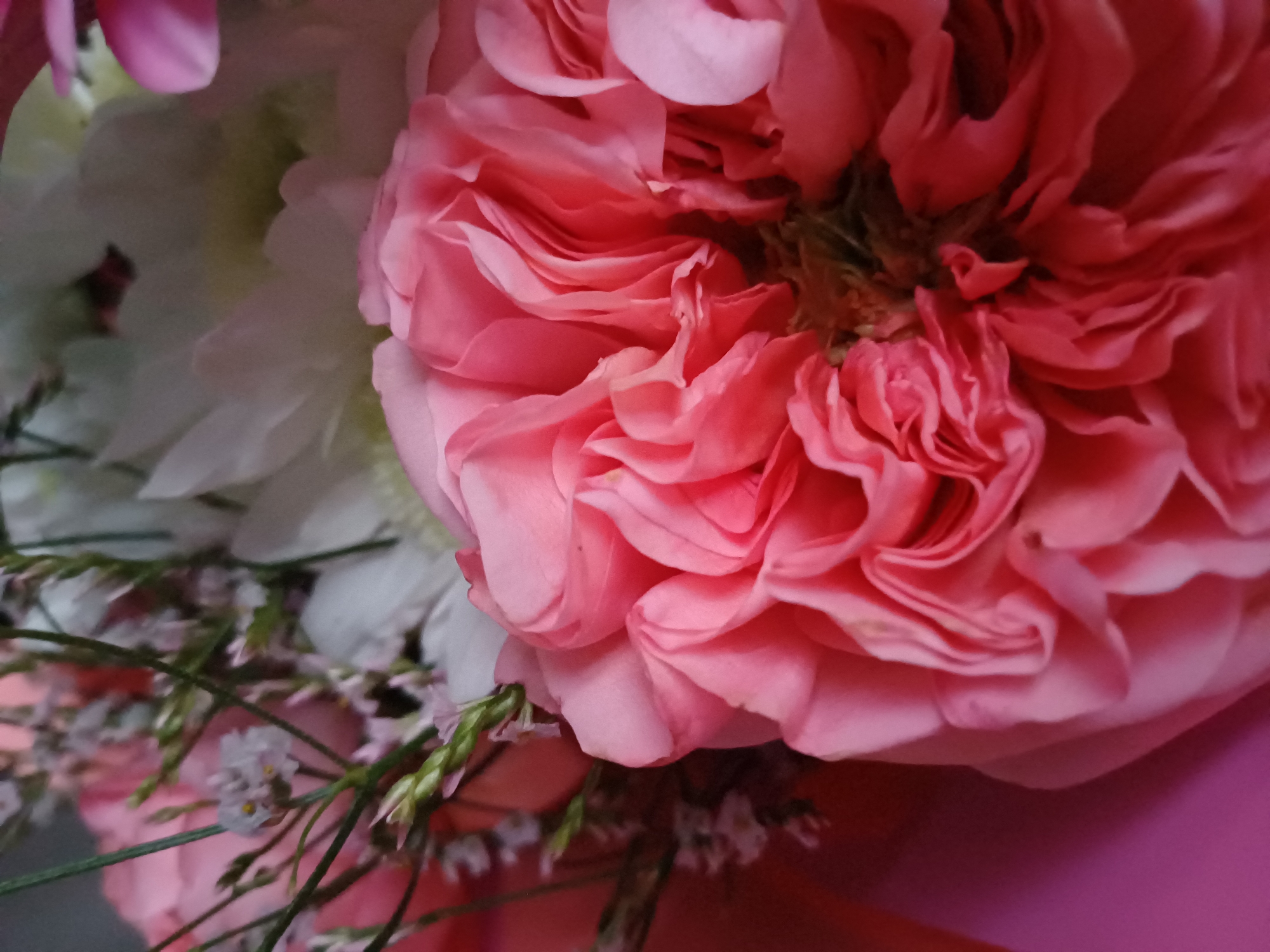 A close-up, overhead shot captures a bouquet of pink and white flowers. The primary subject is a large, ruffled pink rose that dominates the foreground, its petals curled and layered. To the left, smaller pink flowers and delicate green stems are visible. Behind the rose, white flowers with hints of yellow and light green are partially obscured. The background consists of soft pink and red hues, suggesting wrapping paper or other floral arrangement elements. The lighting is soft, creating a gentle glow on the petals. The image is taken indoors, with no visible background elements suggesting a specific location in a city.
