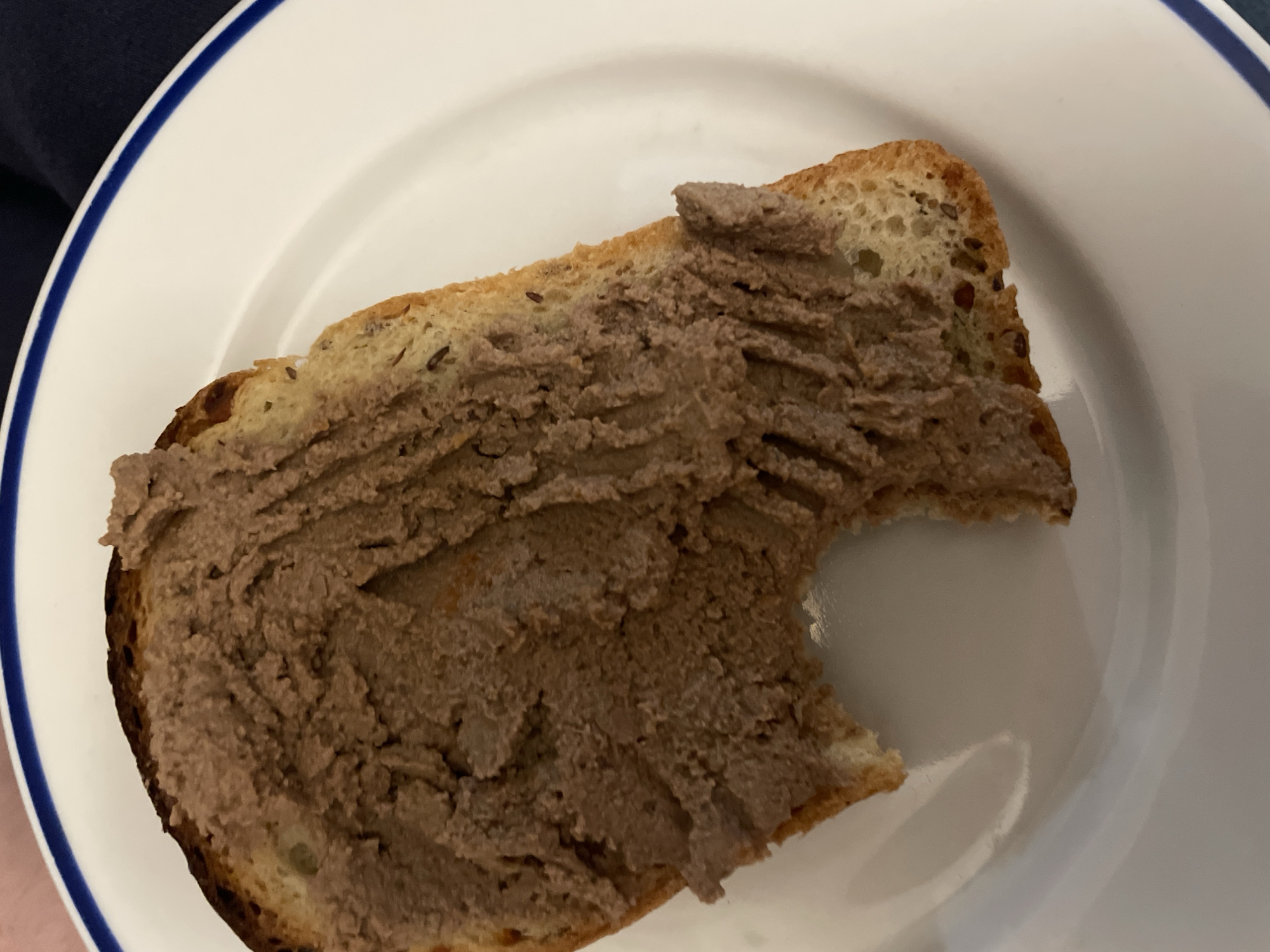 A close-up, high-angle shot shows a piece of toast spread with a coarse, brown pâté on a white plate with a blue rim. The toast has a dark crust and a light interior with visible seeds. A bite has been taken out of the lower left portion of the toast, revealing the texture of the bread and pâté. The plate is clean and sits on a surface that appears to be a table. There is no indication of the city of Minsk, Belarus, in the image.