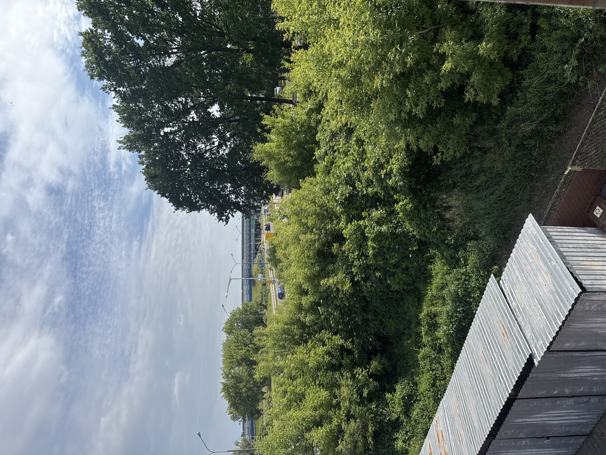 The image captures a view of a lush green area with trees and bushes, typical of suburban landscapes. In the background, a highway with cars and streetlights is visible, suggesting an urban or semi-urban setting. The sky is partly cloudy with a light blue hue. The foreground features a corrugated metal structure, possibly a shed or an industrial building, with a rusty patina. The presence of the corrugated metal structure and the highway hints at a location in or near an industrial or commercial zone within Marki, Poland. The overall scene suggests a blend of natural greenery and man-made infrastructure.