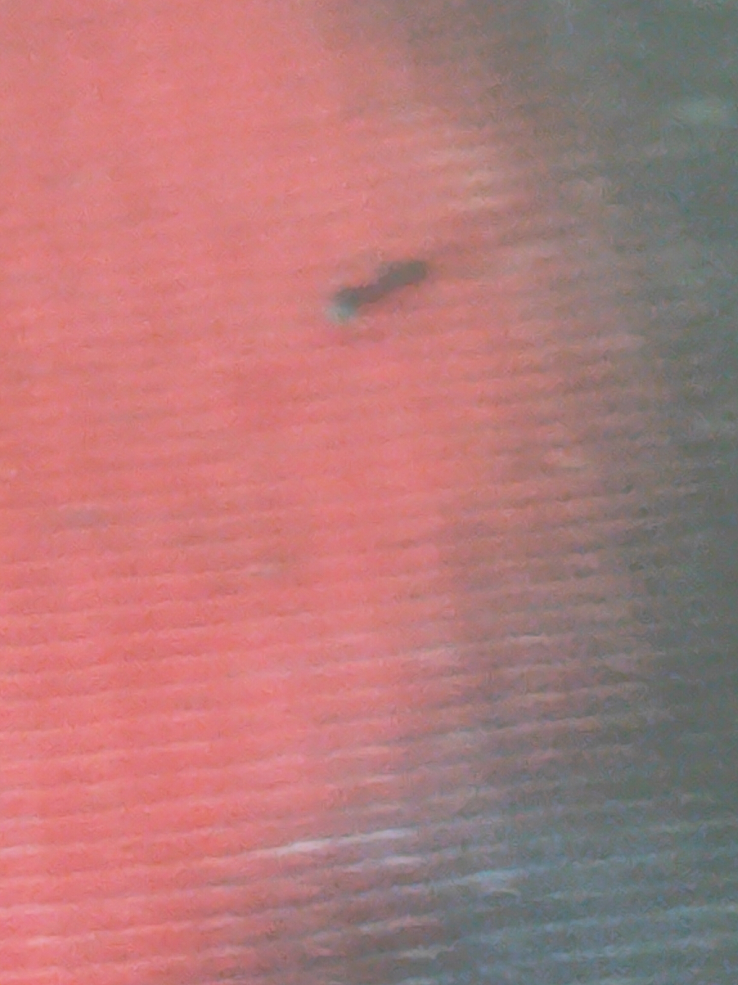 The image is a close-up, abstract view of a textured surface, likely fabric, with a gradient of colors ranging from pink to a muted green/grey. A small, dark, oblong shape is visible in the upper-middle section of the image, appearing as a distinct mark or blemish against the textured background. The texture itself is characterized by parallel lines or ridges. There are no discernible elements of the city of Sintong, Indonesia, within this frame.