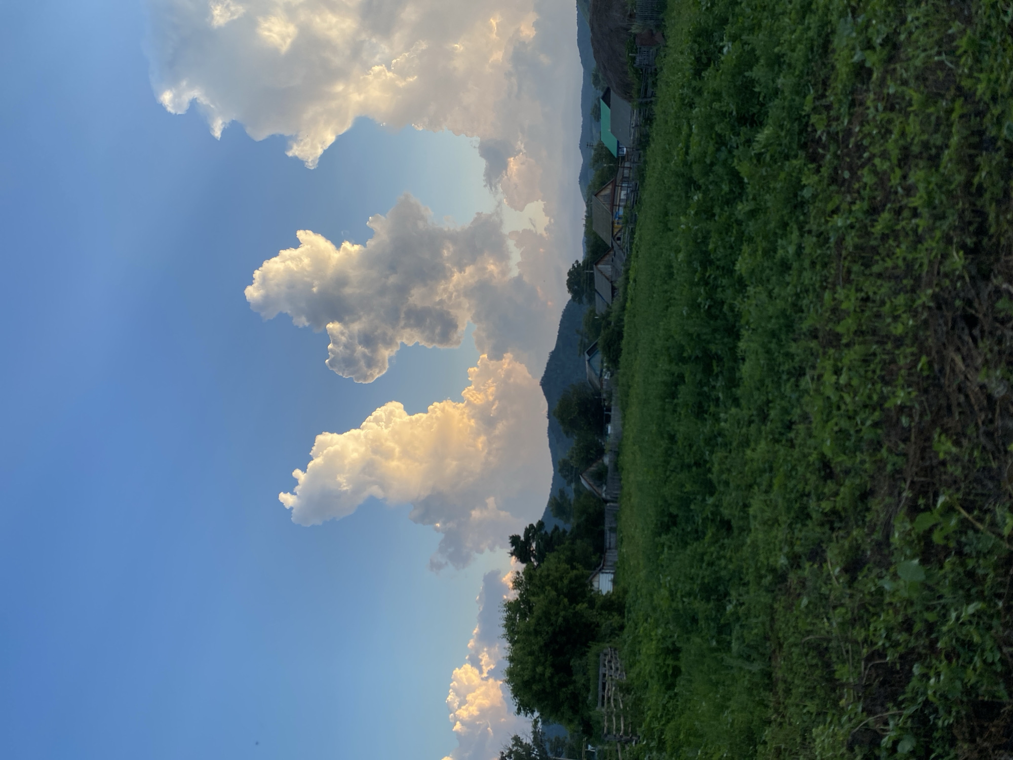 The image depicts a rural landscape in Maloarslangulovo, Russia, under a bright blue sky with dramatic, illuminated clouds. The foreground is dominated by a lush, green field with dense vegetation, possibly crops or wild growth, with some visible soil and debris in the lower section. Beyond the field, a small village is visible, characterized by a collection of houses with varied roof colors, including green, brown, and yellow. A wooden fence runs along the edge of the field, bordering the village. In the background, rolling hills or mountains are silhouetted against the sky, and trees are scattered throughout the scene. The prominent clouds are brightly lit from the side, creating a sense of depth and texture against the clear blue sky, with some appearing to be in the early stages of formation. There are no people or animals visible in the image. The overall scene suggests a tranquil, rural setting during what appears to be either early morning or late afternoon, given the lighting conditions.