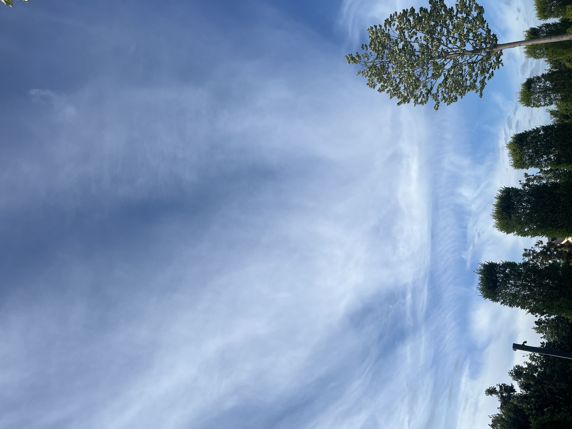 A low-angle view shows a blue sky with wispy cirrus clouds. Trees line the right side of the image and the top right corner. No people are visible. The location in Krasnodar, Russia is not determinable from the image content.