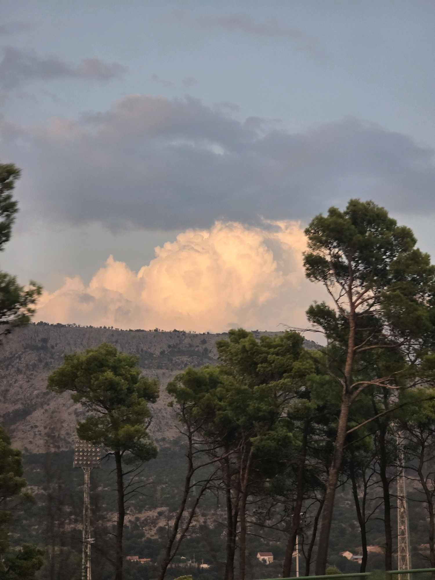 The image depicts a wide shot of a mountainous landscape with a dramatic sky. In the foreground, several tall pine trees with dark green foliage are clustered, obscuring parts of the background. One of these trees on the right side of the frame is particularly prominent, with a tall, slender trunk and exposed branches. Further back, the slopes of a rocky mountain range are visible, covered in sparse vegetation and dotted with what appear to be small settlements.
In the sky, large, fluffy clouds dominate the scene. A cluster of clouds in the center-left is illuminated by a warm, golden light, suggesting either sunset or sunrise. Other clouds are tinged with gray and blue, indicating an overcast or changing weather condition.
To the left of the frame, a tall, lattice-work tower with multiple light fixtures is partially visible, likely a stadium light. The overall atmosphere is serene and natural, with the interplay of light and shadow on the clouds and landscape creating a sense of depth and drama. The scene does not contain any people or animals. The image appears to be taken from an elevated viewpoint, looking towards the mountains. It is not possible to identify specific landmarks that would definitively place this image in Podgorica, Montenegro, based solely on the visual information provided.