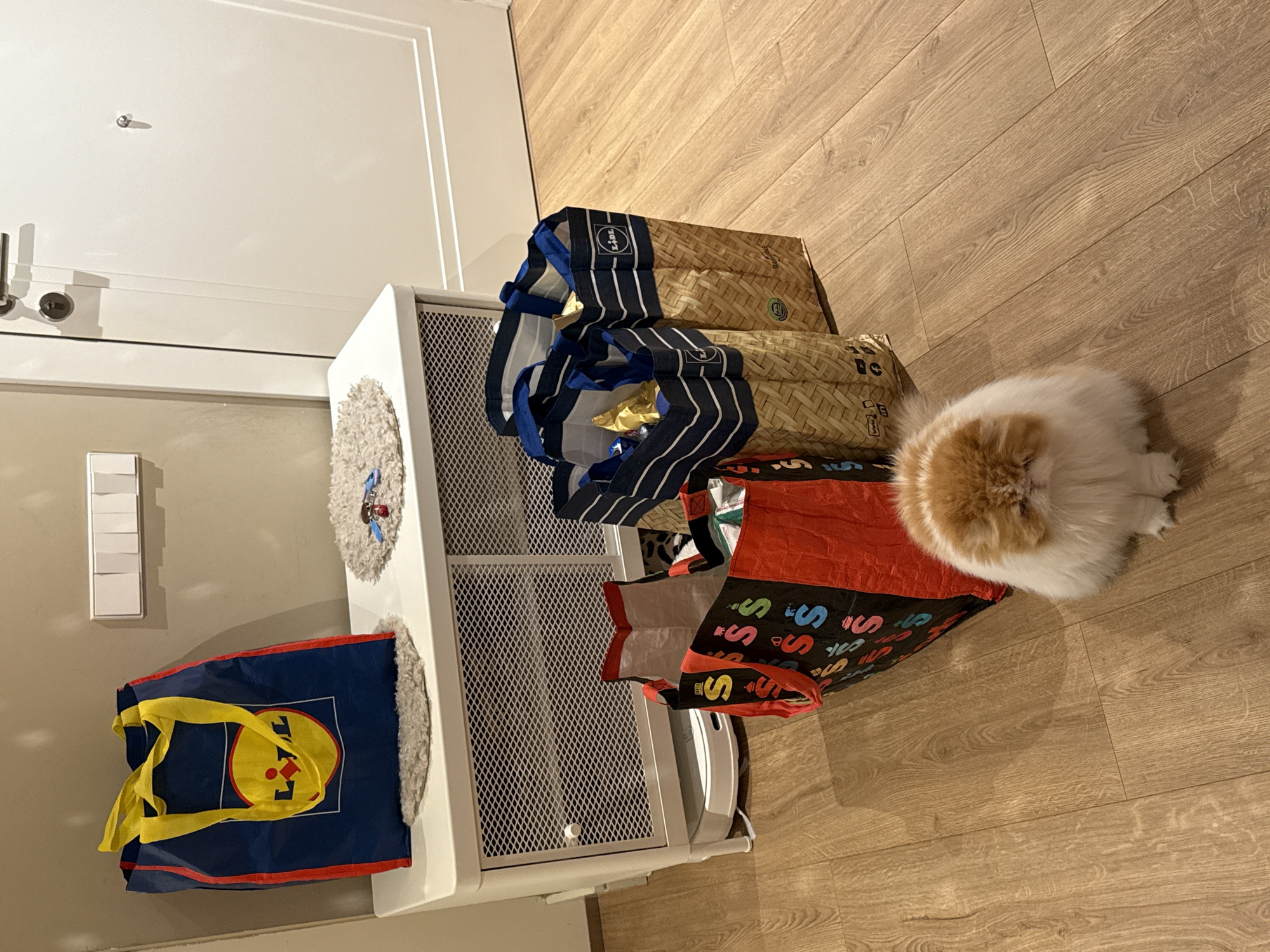 The image shows an indoor scene with a white cabinet positioned against a white door and light-colored wall. The cabinet is topped with a gray, fluffy rug and holds multiple shopping bags of varying designs. On the right, a fluffy cat is lying on the wooden floor. The door is adjacent to a light switch on the wall. No information is provided in the image to determine if the location is in Barcelona, Spain.