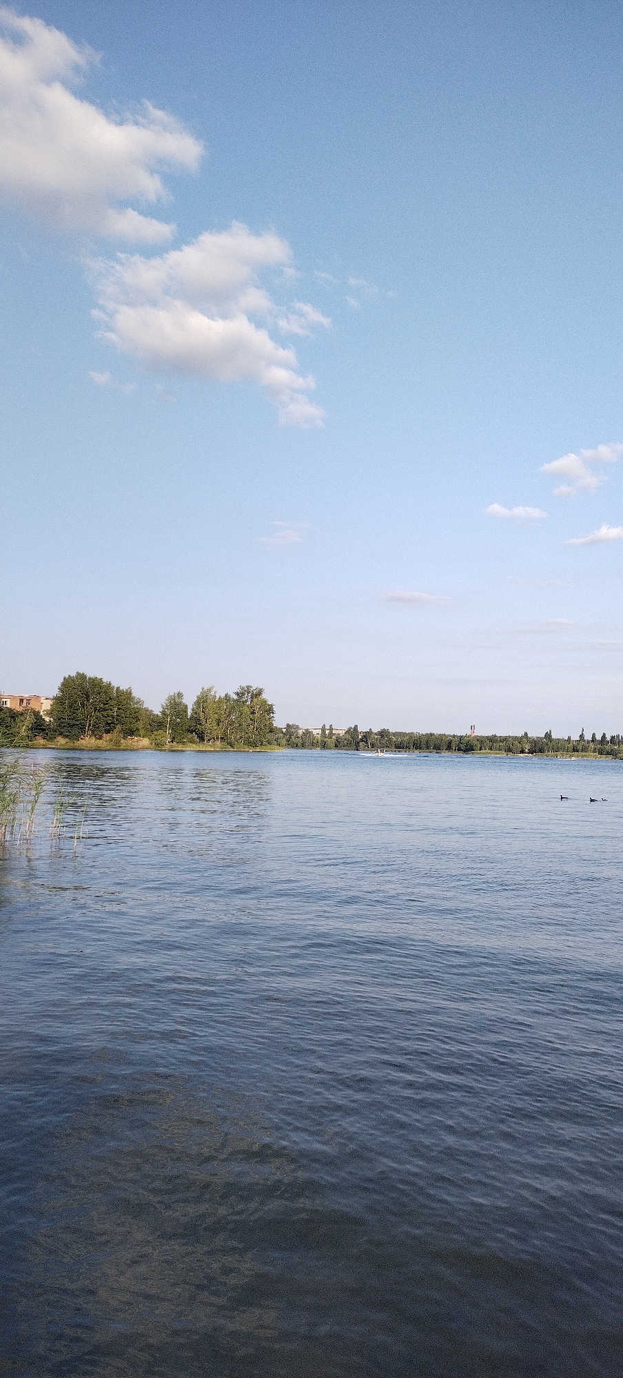 The image depicts a serene waterfront scene in Bezliudivka, Ukraine. The foreground is dominated by the calm, rippling surface of a lake, its deep blue waters reflecting the clear sky. On the left bank, reeds rise from the water, adding a touch of natural texture. Further into the distance, a line of lush green trees forms a verdant backdrop along the opposite shore, interspersed with some buildings. A small boat is visible on the water, leaving a faint wake, and two dark birds are swimming near the right side of the frame. The sky above is a pale blue, scattered with a few wispy white clouds. The overall impression is one of tranquility and natural beauty.
