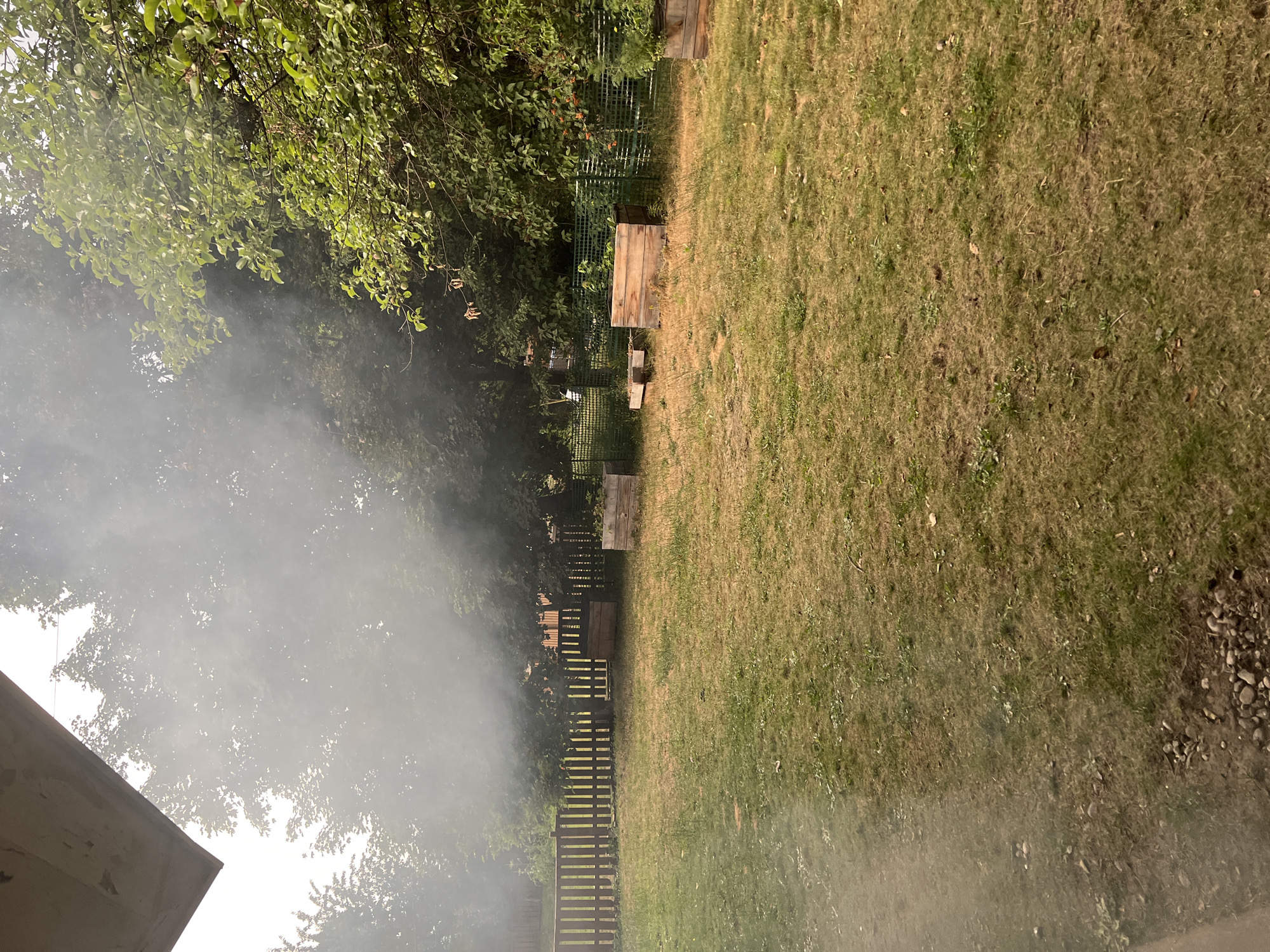 The image shows a backyard with patchy, dry grass. In the background, a wooden fence runs along the property line. Several wooden planter boxes are scattered across the yard. Thick, grey smoke is visible in the air, obscuring part of the trees and sky, suggesting a fire or controlled burn. The presence of smoke indicates a potential environmental or safety concern. The scene is consistent with a residential backyard in Revelstoke, Canada, possibly experiencing a warm, dry period or outdoor burning activity. No people are visible in the image.