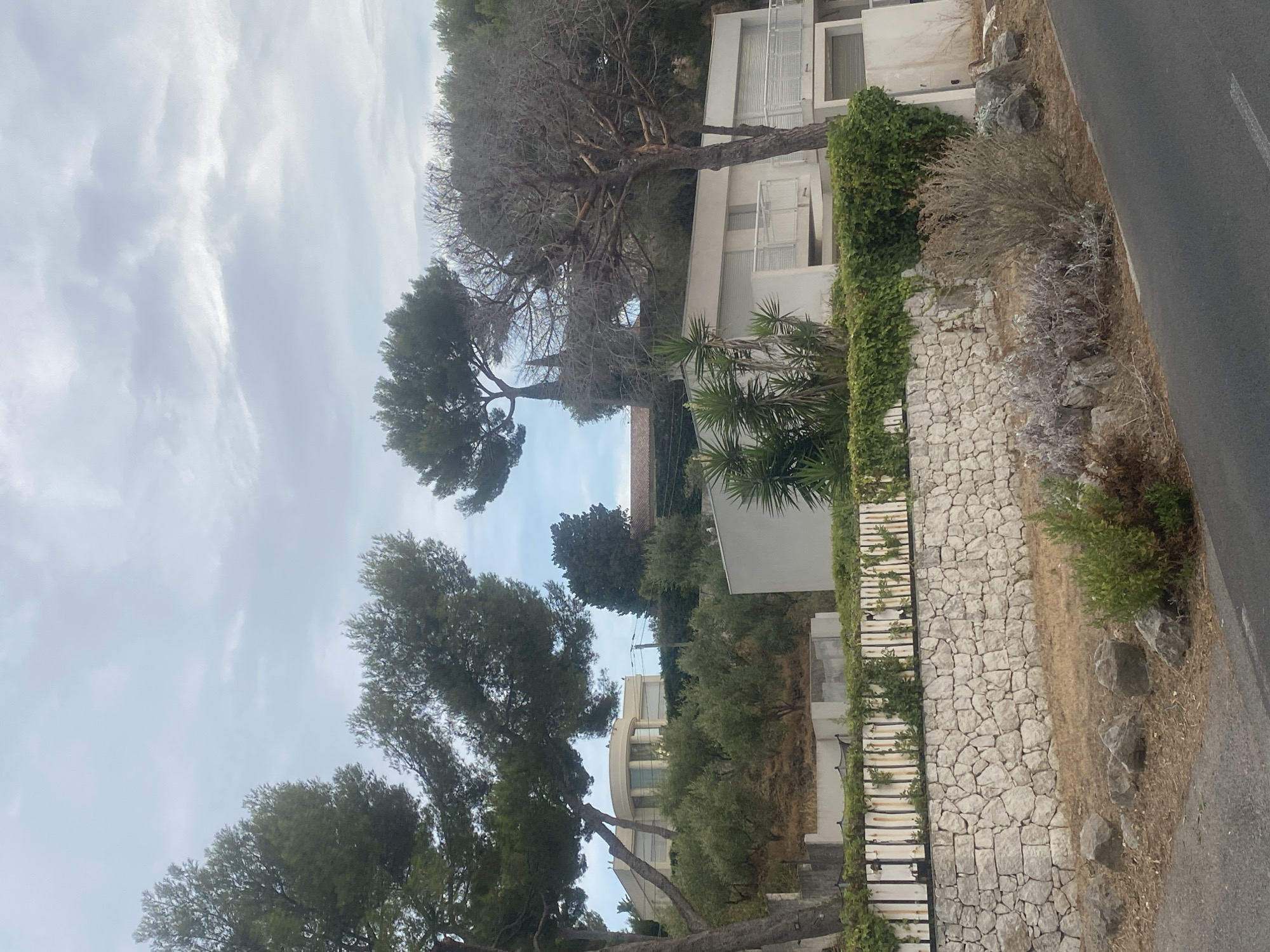 The image depicts a residential area in Antibes, France, characterized by a blend of modern architecture and lush Mediterranean vegetation. In the foreground, a paved road runs diagonally across the bottom of the frame, with large rocks and dry grass on the roadside. A stone wall, constructed from irregularly shaped light-colored stones, forms a boundary for the property above. This wall is topped with a rusty metal fence, partially covered in green ivy.
Behind the fence, a modern white building with multiple levels and balconies is visible. The building features large windows and roll-down shutters. Several mature trees, including pine trees with distinct branching patterns, are interspersed throughout the landscape. One tree on the right side appears to be dead or dormant, with bare branches. In the background, another house with a curved facade and large windows is perched on a hillside, surrounded by olive trees and dense greenery. The sky is overcast with scattered clouds. There are no people visible in the image.