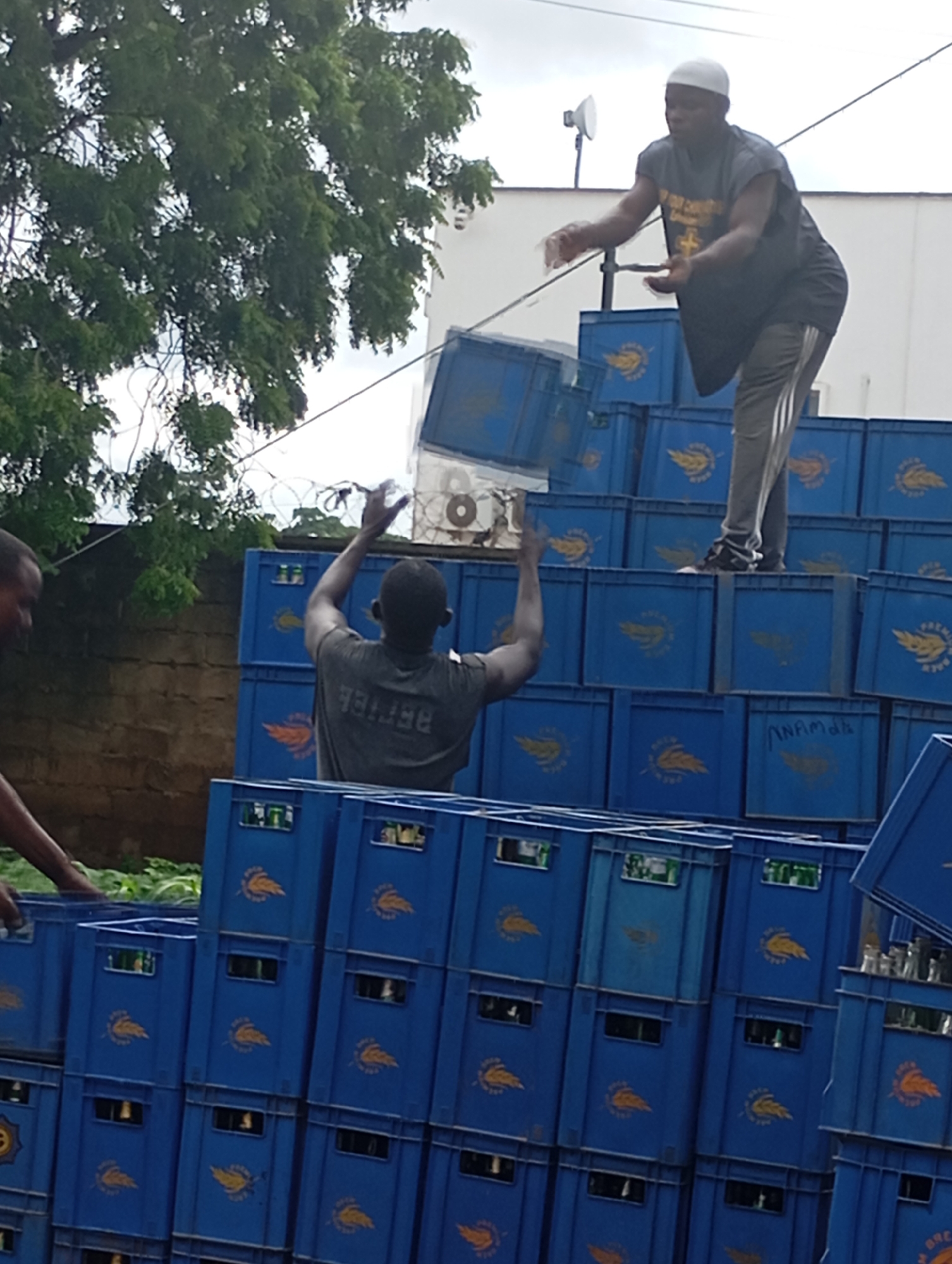 In Shendam, Nigeria, a man wearing a white cap and a dark t-shirt with a cross emblem, and gray track pants, is seen stacking blue plastic crates. He is positioned on top of a large pile of these crates, which are branded with a yellow emblem. To his left, another man, partially visible, is also involved in the activity. The crates are arranged in a tall, organized stack, creating multiple levels. Some crates contain bottles, suggesting they are carrying beverages. The environment appears to be outdoors, with a brick wall in the background and trees visible to the left. The sky is overcast. The overall scene depicts a logistical operation involving the handling and storage of crates, likely for distribution.