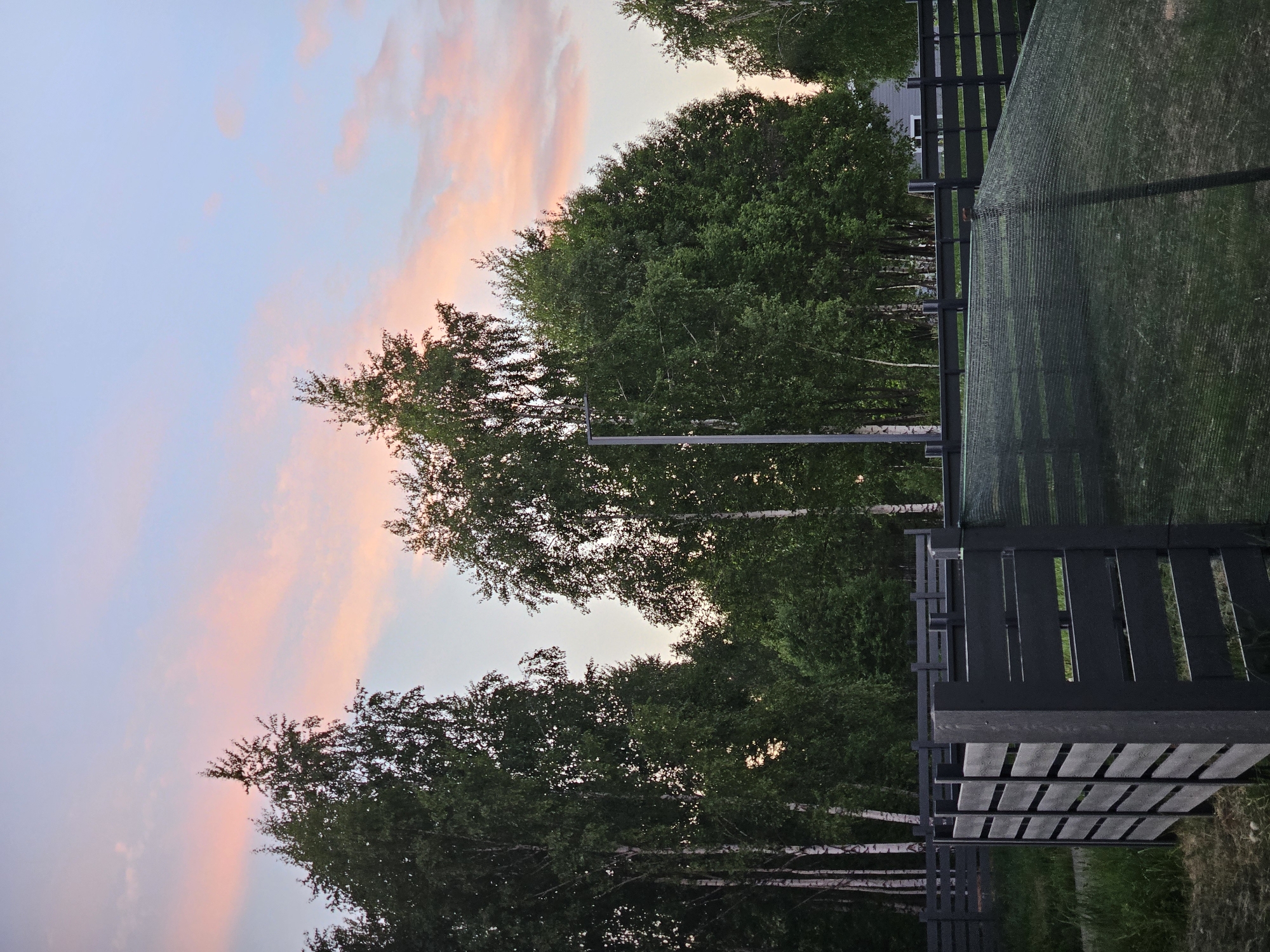 The image captures an outdoor scene, likely during twilight or early morning, in what could be Dernovo, Russia. The sky exhibits hues of pink and blue, suggesting either sunrise or sunset. Dominating the view are tall birch trees with green foliage reaching up towards the sky.
To the right, a dark gray wooden fence is visible, with a mesh-like material attached to it. The fence is constructed with horizontal wooden slats and vertical supports. The ground appears to be covered in grass or vegetation, though details are obscured by the darkness. There are no people visible in the image.
The overall atmosphere is tranquil, indicative of a peaceful suburban or rural setting. The presence of birch trees and the type of fencing could align with the architecture and environment often found in Russian villages or outskirts of cities.