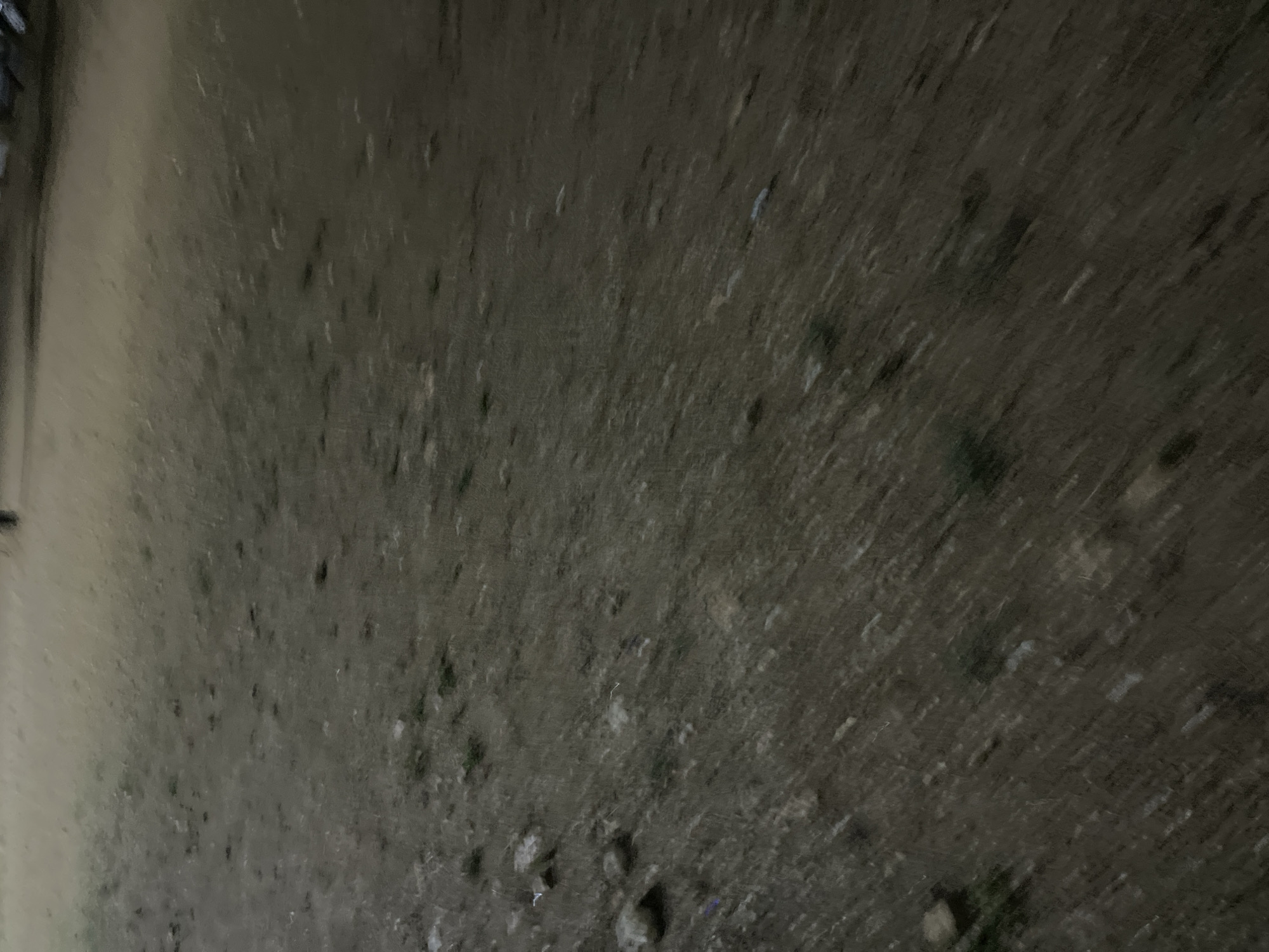 The image depicts a dimly lit, outdoor scene, likely a dirt or gravel ground with scattered small stones and patches of dry grass. The perspective is angled downwards, creating a sense of depth and motion blur, suggesting the photograph was taken while the camera was moving. The overall lighting is low, with indistinct shapes in the background that could be structures or other elements of an urban environment, possibly within or on the outskirts of Santa Ana, Venezuela. The ground surface is textured with variations in color and composition, from darker, smoother areas to lighter, rougher patches. The motion blur is evident throughout the image, streaking the details of the ground and any objects present.