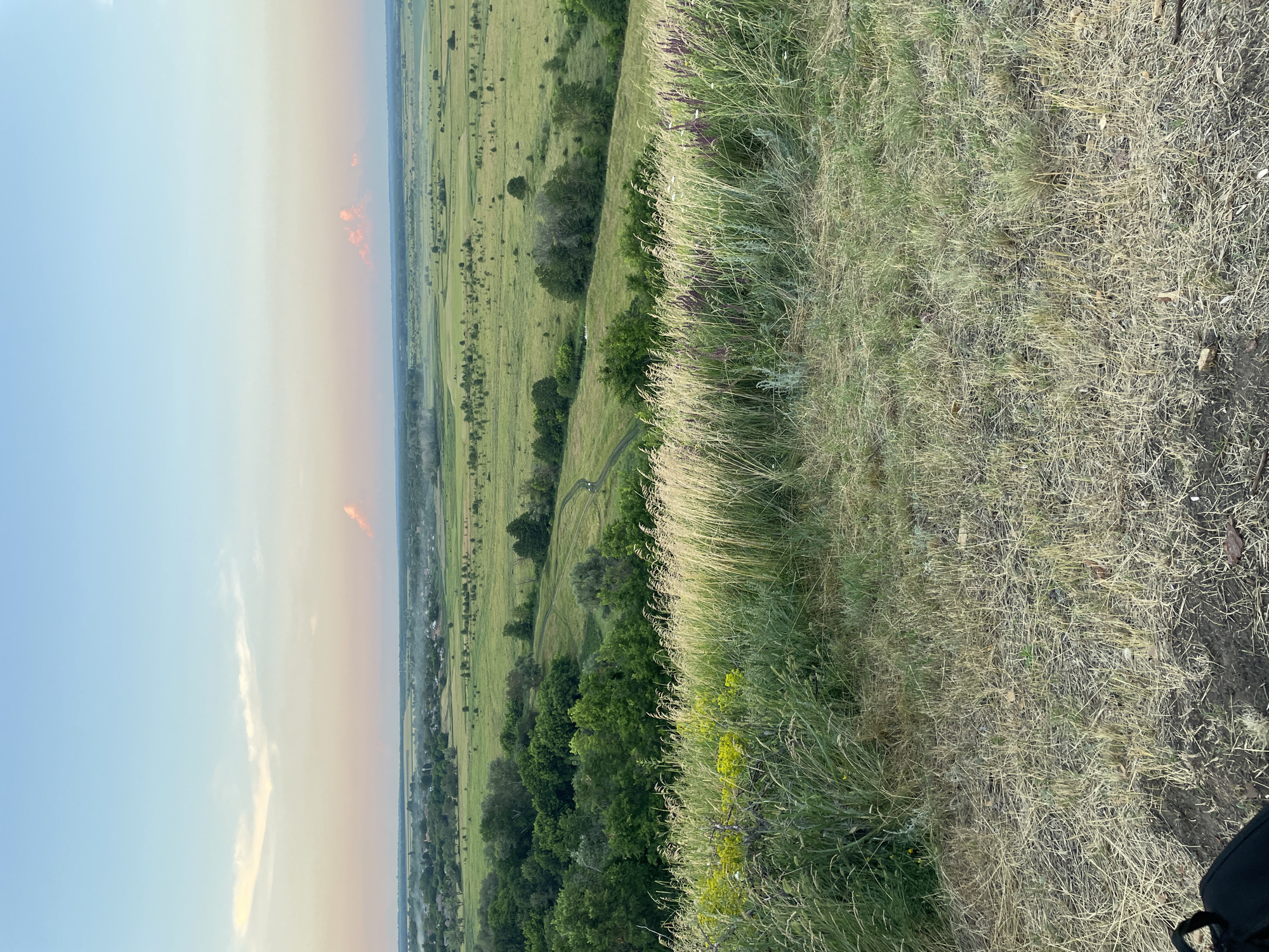 An outdoor, high-angle, wide shot captures a hazy, pastoral landscape under a soft, pale blue sky with wisps of pink and orange clouds. In the foreground, dry, yellowed grass and taller, green blades of grass with some purple flowers are visible. The middle ground features a rolling, green valley dotted with scattered trees and a winding dirt road. In the distance, a small village with houses and trees is nestled amongst the fields, with a faint haze obscuring the horizon. The overall scene evokes a sense of peacefulness and rural tranquility.