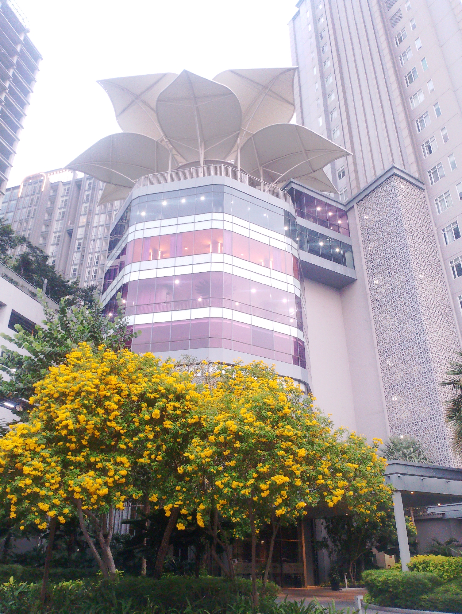 The image depicts a modern building with a unique, petal-like canopy structure on its roof. The building features a contemporary architectural style with a glass facade that has a purple hue, interspersed with white horizontal bands. To the right of this structure, a taller, light gray building with a grid of windows dominates the background. This building has a decorative, patterned panel on its lower section. In the foreground, a vibrant tree laden with bright yellow flowers provides a striking contrast to the urban landscape. The surrounding area appears to be landscaped with greenery. The scene is likely from Central Jakarta, Indonesia, given the architectural style and vegetation.