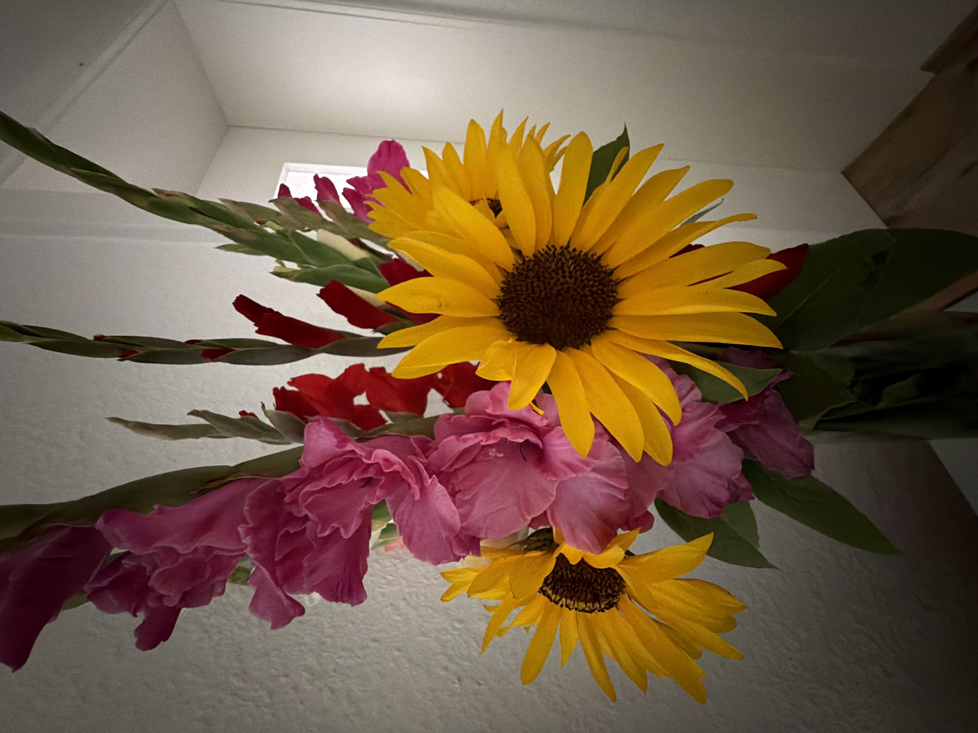 A close-up, still life photograph captures a vibrant floral arrangement in a glass vase. The bouquet features large, bright yellow sunflowers with dark brown centers, interspersed with tall, slender gladiolus flowers in shades of pink and red. Green leaves and stems are visible throughout the arrangement. The background consists of a textured, light-colored wall on the left and a bright, slightly out-of-focus doorway or corner on the right. The lighting appears to be from the right, casting soft shadows. There is no indication of the city of Dorsten, Germany, in the image.