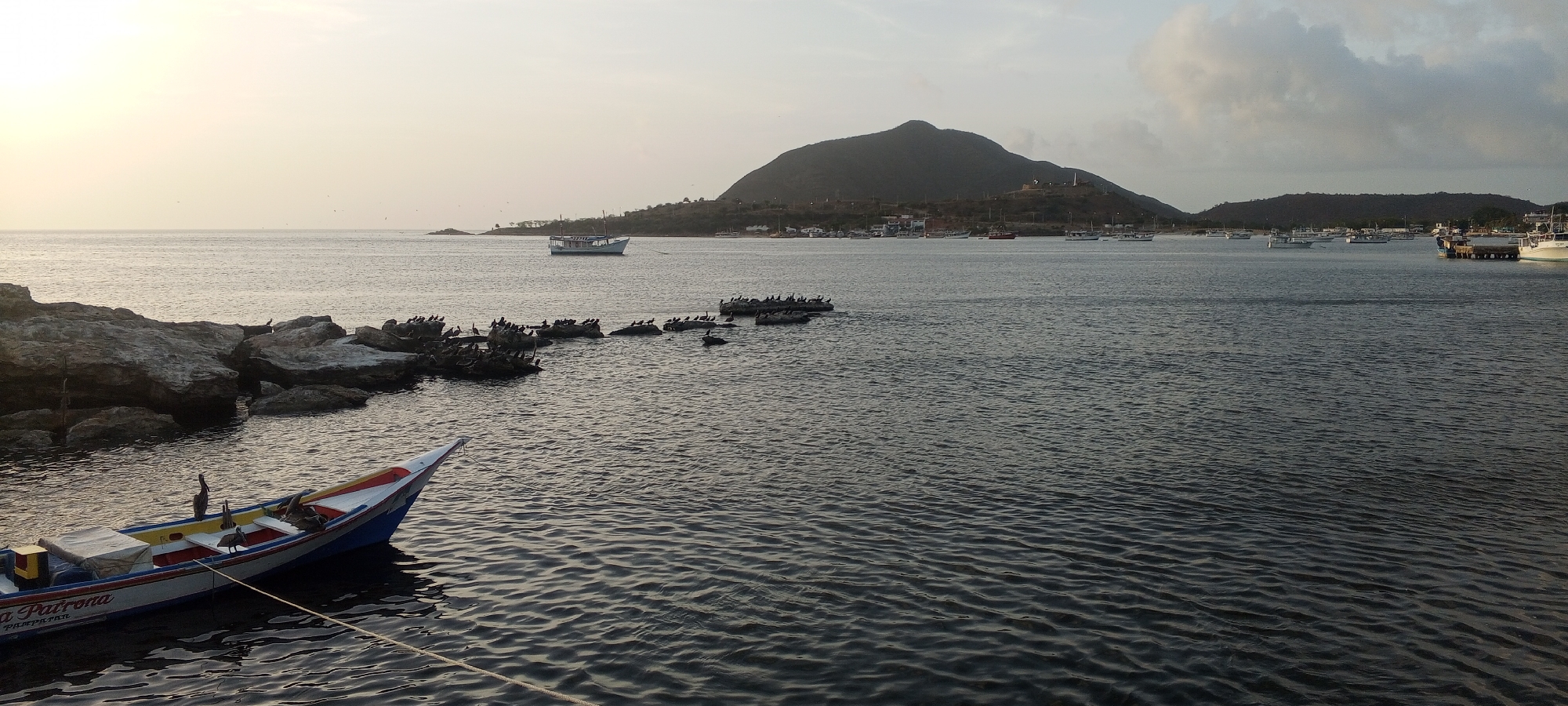 A wide shot captures the seascape of Juan Griego, Venezuela, during the late afternoon or early evening. The sky is a pale, hazy yellow, with scattered clouds visible in the upper right quadrant. The sea is calm with gentle ripples, reflecting the muted light.
In the foreground, on the left side, a small, brightly colored fishing boat, likely named "La Patrona," is moored. It has a white hull with red and blue accents, and yellow trim. Several pelicans are perched on its gunwales and in the boat. To the left and behind the boat, a rocky shoreline juts into the water. Scattered across these rocks and in the water are numerous pelicans and seagulls, appearing to rest or preen.
In the mid-ground, a larger, light-colored passenger boat is sailing across the water. Beyond that, the coastline is visible, characterized by rolling hills covered in vegetation. A settlement is spread along the base of the hills, with buildings and structures sparsely visible. A prominent, dark, rounded mountain dominates the background skyline. Further out in the bay, several other boats, including larger yachts and smaller fishing vessels, are anchored. The overall impression is one of tranquility and a coastal community at the close of day.