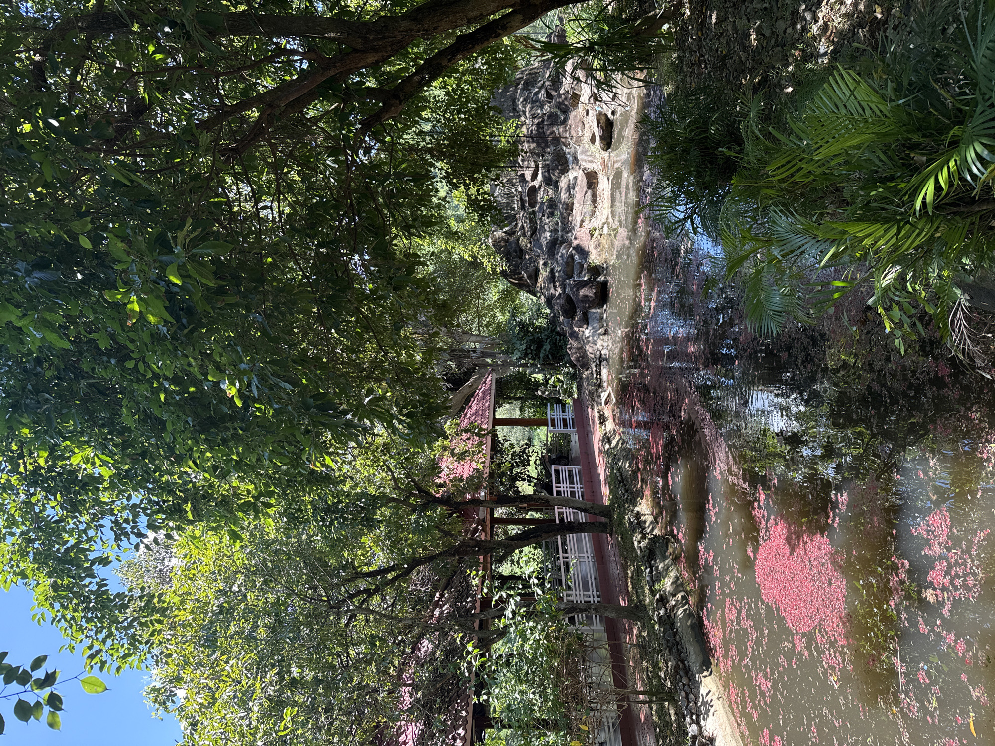 The image depicts a serene outdoor scene, likely a garden or park, within the city of Nam Khanh Vinh, Vietnam. In the foreground, a body of water is covered with numerous fallen pink blossoms, creating a vibrant contrast with the murky brown water. To the left of the water, a paved path leads towards a structure with a red tiled roof, resembling a pavilion or open-air dining area. This structure is supported by wooden posts and features white railings. Lush green trees and dense foliage surround the area, casting shadows on the ground and the water. In the background, a rocky, artificial waterfall feature is visible, adding a naturalistic element to the landscape. The overall impression is one of tranquility and natural beauty, with the human-made elements blending harmoniously with the environment.