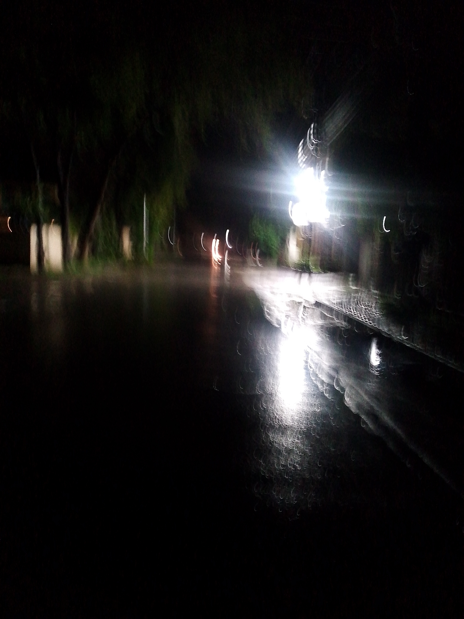 This is a night scene on a city street in Unknown, Unknown. The street is wet, reflecting the light. Trees and foliage are visible on the left side of the street. A bright light source, likely a street lamp, illuminates the scene. Due to blur, clear details of people or specific objects are indiscernible. The scene seems still, devoid of clear action.