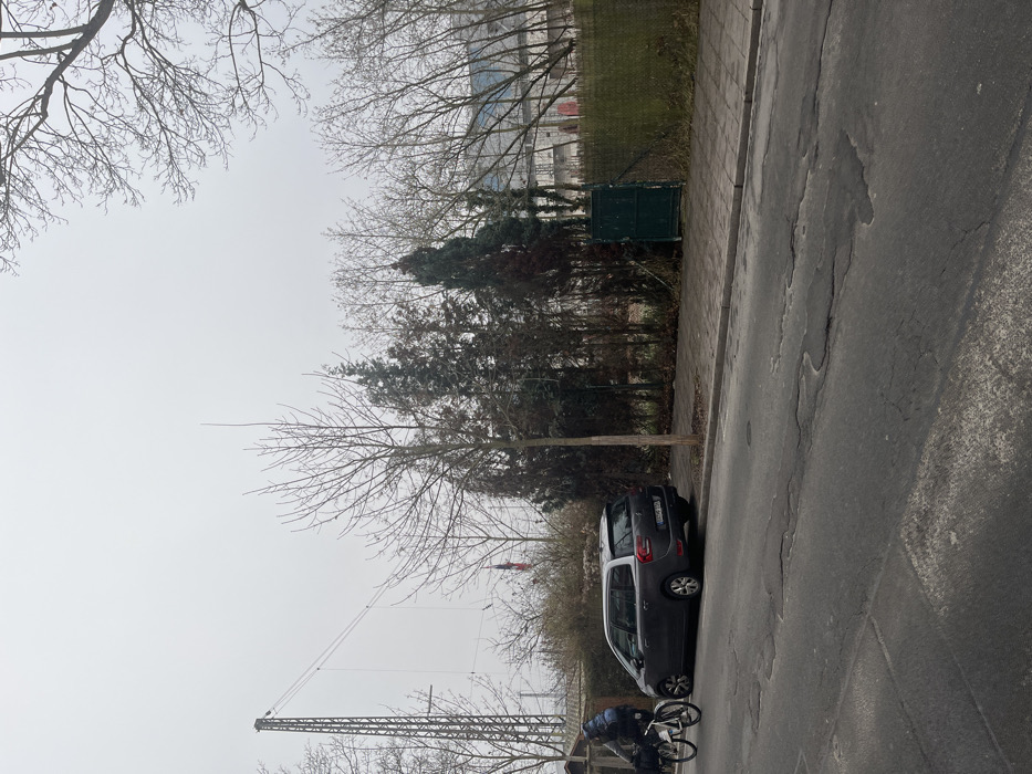 This is a daytime outdoor street scene viewed from a low angle, under a uniformly overcast sky. The main elements are horizontally composed across the frame, despite the image's vertical orientation.
In the mid-ground, a dark grey Citroën C3 Picasso is parked on the right side of an asphalt road. The car has a German license plate, visibly starting with "BA," indicating Bamberg, Germany. To the left of the car, a person, partially visible and dressed in dark clothing, stands with a bicycle. The bicycle has a large, heavily packed bag or child seat on its rear rack. The road surface exhibits cracks and patches.
To the left of the road is a paved sidewalk, followed by a grassy strip. This strip is densely populated with a mix of deciduous trees, currently bare of leaves (suggesting late autumn, winter, or early spring), and some evergreen trees. Further back on this side, a dark green utility box or cabinet is visible on the grass, behind which a fence runs. Through the bare tree branches, a large building, possibly a stadium or industrial facility, can be discerned in the distant background.
A prominent feature in the far background, particularly on the left side, is a tall metal construction crane. The sky is a bright, featureless grey, indicating diffused light without direct sunlight. The overall atmosphere is calm and typical of an urban or suburban street during a cool, possibly wintery, day. No specific events or emotions are discernible beyond the everyday presence of vehicles and a pedestrian.