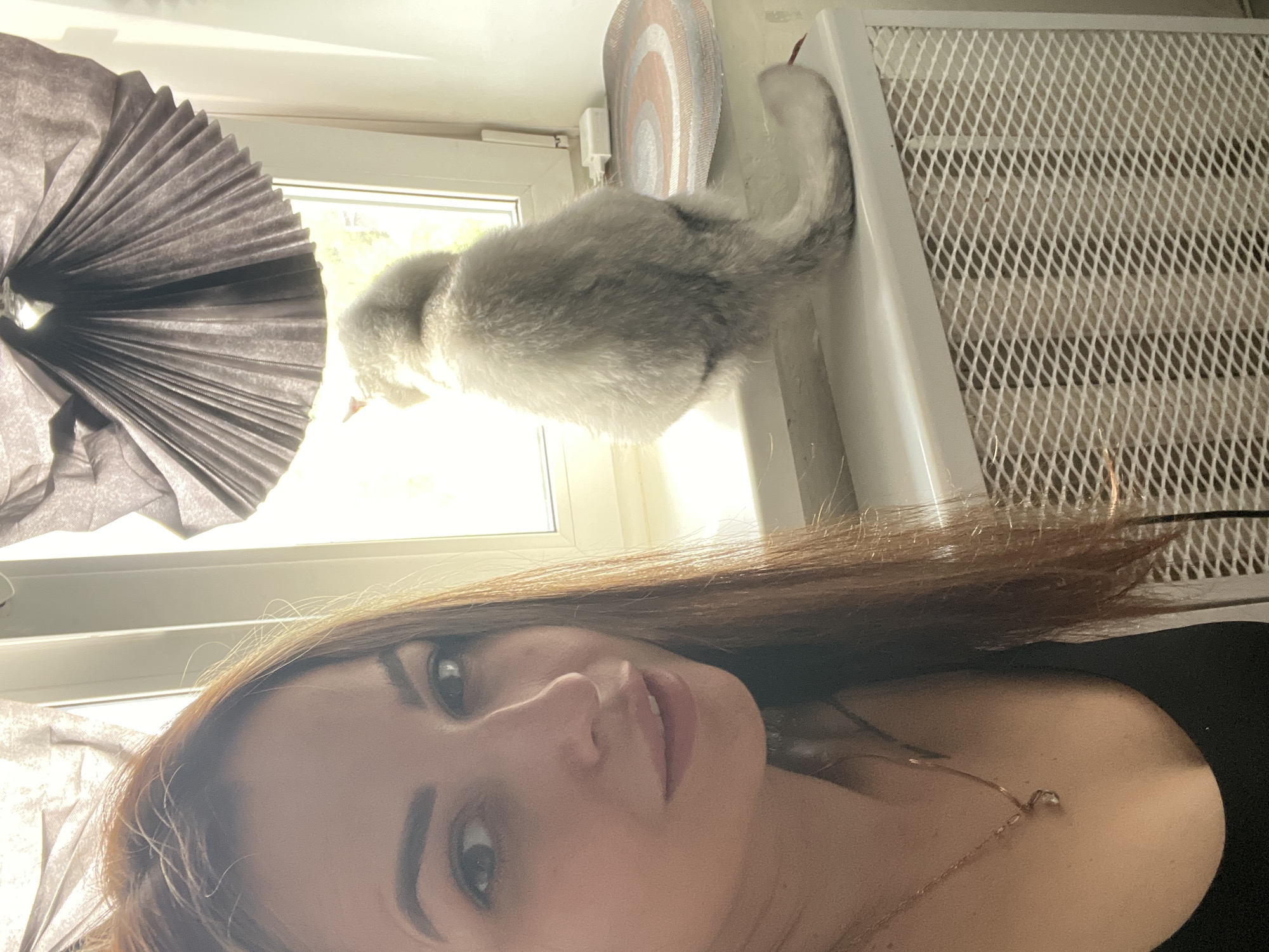 A woman takes a selfie with a cat. The woman has light skin, brown hair, and is wearing a necklace. The cat is a gray and white breed and is perched on a white object near the window. A paper fan hangs from the top left corner of the image. The location is unknown.