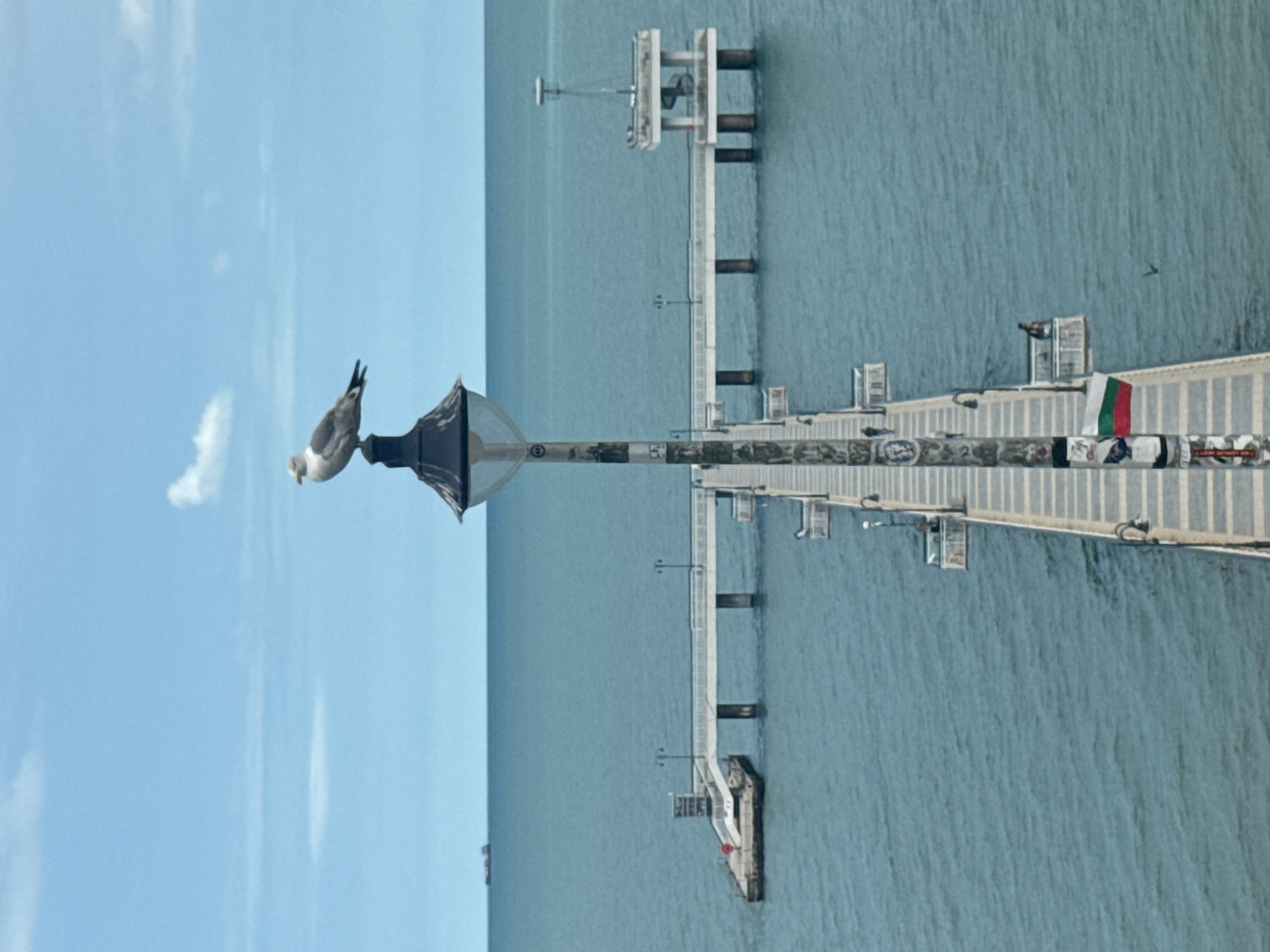 This is a portrait-oriented, slightly overcast day shot of a pier extending into the sea. The pier appears to be a long, white structure with a railing, supported by numerous dark pylons. On the pier, there are several white buildings with square windows, and some dark railings. A Bulgarian flag, with green, white, and red stripes, is visible near the center of the pier. In the water, there's a small, dark boat.
In the foreground, a seagull is perched on a black lamppost. The lamppost has a decorative, dark top. The seagull is facing to the left and looking downwards. Behind the lamppost, there's a light blue sky with wispy white clouds. The sea is a muted blue-green color. The scene suggests a coastal location, and the Bulgarian flag specifically points to Bulgaria, likely Burgas as per the provided location context. There is no discernible text in the image. The overall mood is calm and observational.