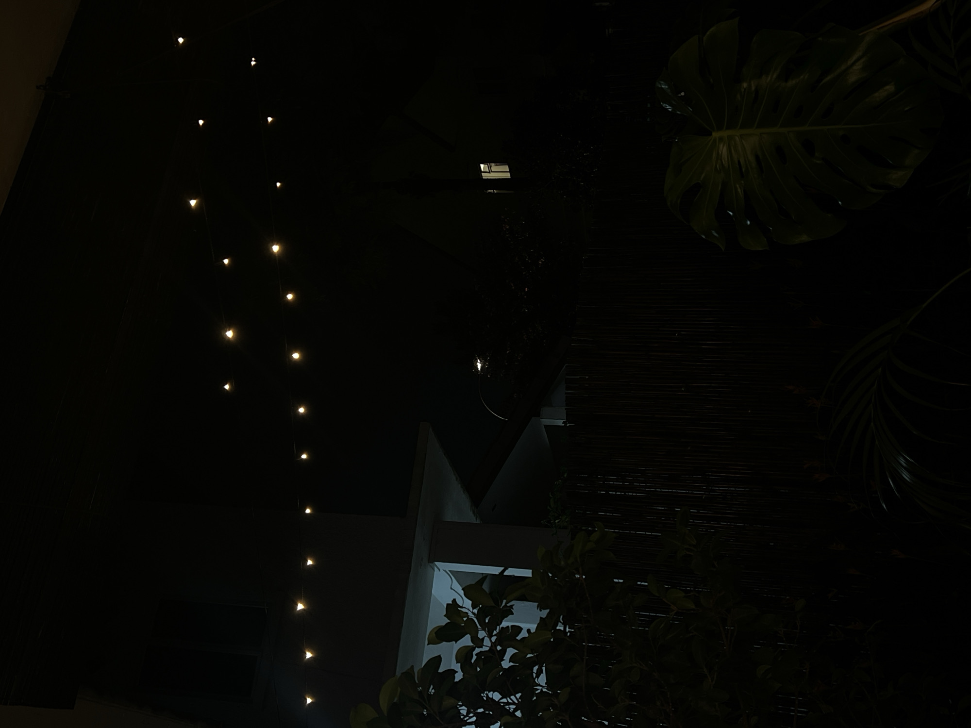 The image depicts an outdoor scene at night, illuminated by a string of warm-toned fairy lights stretched across the upper portion of the frame. Below the lights, a modern building with sharp angles and light-colored walls is visible, suggesting an urban environment. In the foreground, dark foliage from trees and plants creates a natural barrier, with a large, distinctive monstera leaf prominent on the right side. Behind the foliage, a dark, vertical slatted fence or screen can be seen. A single window with interior lighting is visible on the upper right side of the frame, indicating an adjacent structure. The overall ambiance is dark and serene, with the artificial lights providing a soft glow against the natural and architectural elements. The scene does not contain any people. The location is not specified, but the presence of lush vegetation and modern architecture could be consistent with various urban areas.