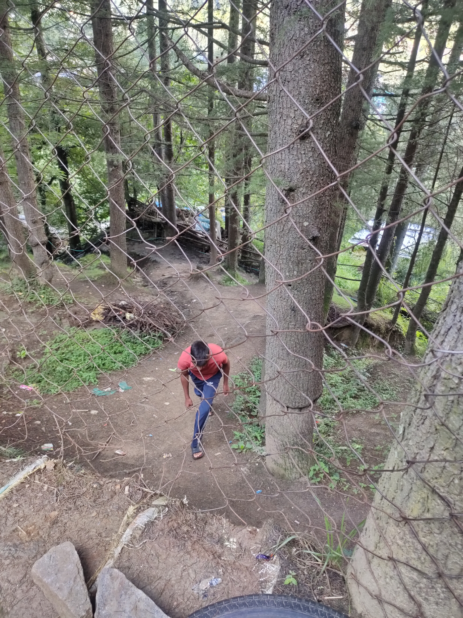 In an outdoor environment, a young person wearing a red t-shirt and blue pants walks down a dirt path. The path is surrounded by trees, and a wire fence runs across the foreground, partially obscuring the view. The person is bent over, looking down. There is scattered debris on the ground, including some pieces of wood and plastic. The overall scene appears to be in a natural setting, possibly a park or a wooded area.