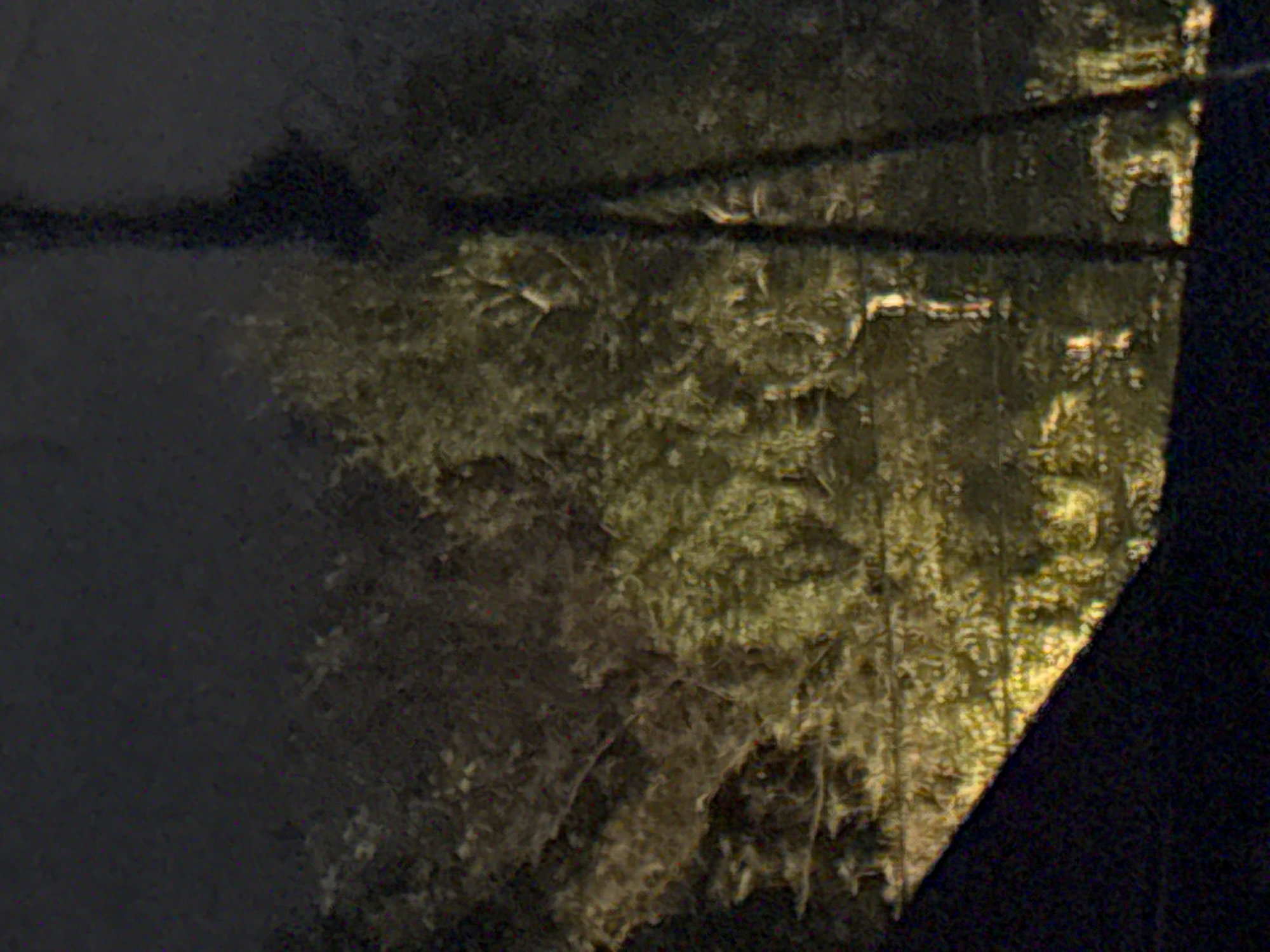 The image, captured at night in Vostok, Kyrgyzstan, depicts a dark, outdoor scene illuminated by artificial light sources. The foreground is dominated by a dark, possibly fabric surface, angled upwards and to the right. Behind this, trees with dense foliage are visible, bathed in a yellowish light that creates a dappled effect. A tall, slender, dark vertical pole or structure is prominent in the right half of the image, casting a shadow onto the trees. The background is dark and indistinct, suggesting a nocturnal environment. The overall impression is one of low visibility and artificial illumination.