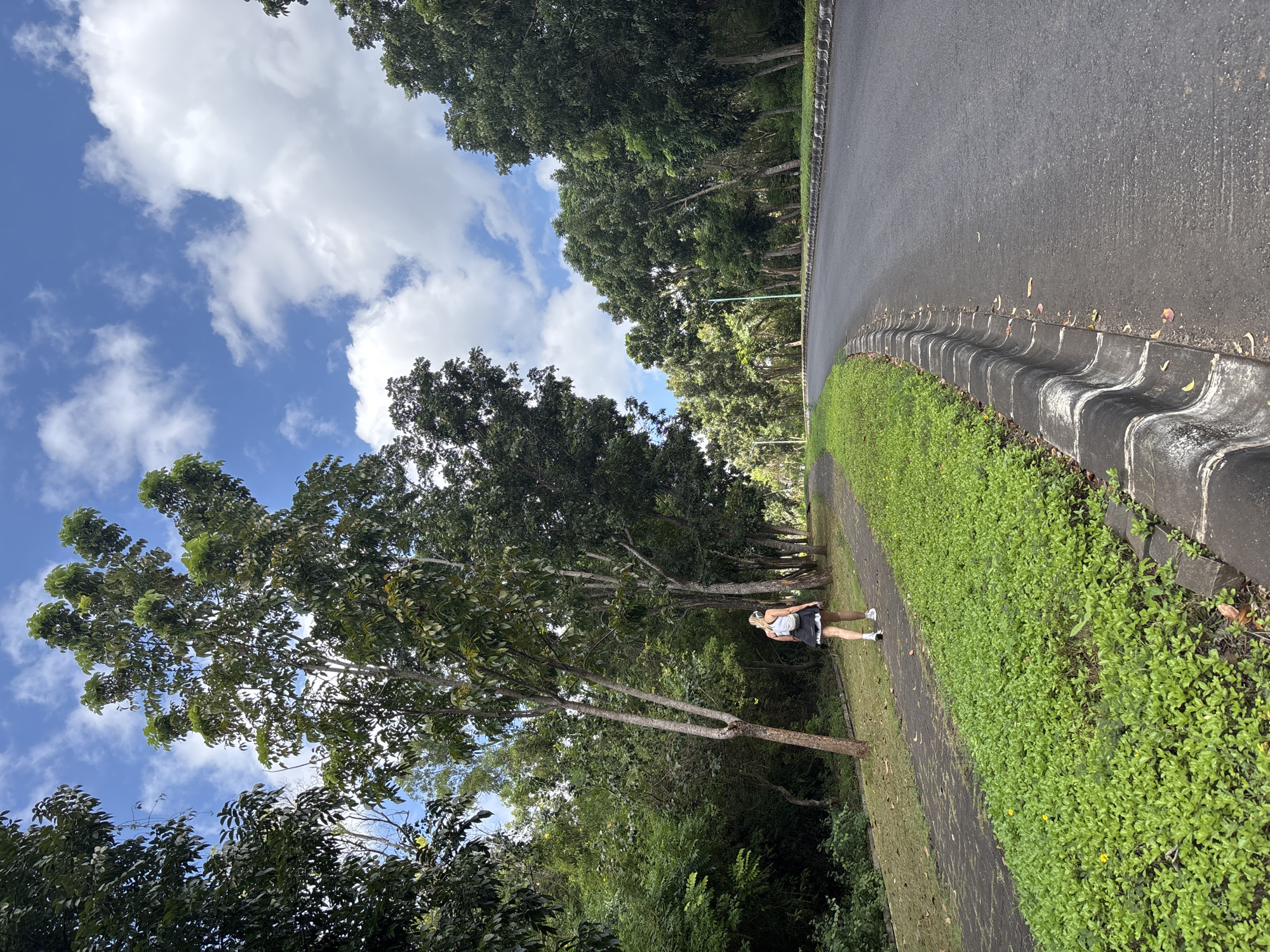 The image depicts an outdoor scene in Kuta Selatan, Indonesia, featuring a paved pathway and an asphalt road flanked by dense tropical vegetation under a partly cloudy blue sky.
A single individual, seen from behind, is walking away from the viewer on a dark grey paved pathway positioned on the left side of the frame. This person has light-colored hair pulled up, wears a light-colored sleeveless top, a black skirt with a white ruffled hem, and white athletic shoes. A light-colored backpack is worn, and a light-colored object, possibly headphones, is visible around their neck/shoulders.
To the immediate right of the pathway, a strip of vibrant green ground cover, characterized by small leaves and sporadic small yellow flowers, separates the path from a dark grey asphalt road. A distinctive, weathered concrete curb with a repetitive wave-like or scalloped pattern forms the boundary between the green strip and the road. The road gently curves to the right and recedes into the background, appearing devoid of vehicular traffic. A utility pole or lamppost is visible along the road in the mid-ground.
Lush, verdant tropical trees with dark green foliage and slender, light brown/grey trunks line both sides of the pathway and road, contributing to a sense of dense vegetation. The sky overhead is bright blue with several distinct white cumulus clouds scattered across it. The environment suggests a maintained park, greenbelt, or roadside area in a tropical setting.