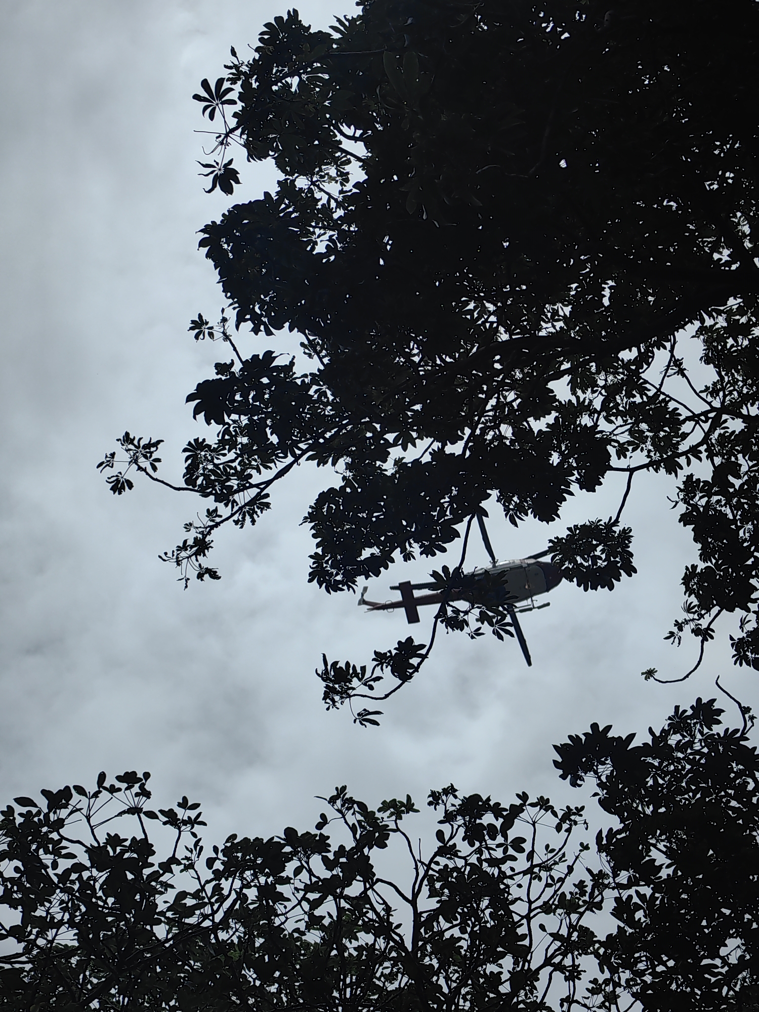 An eye-level, medium shot captured from beneath tree foliage looks up at a pale, overcast sky. A silhouette of a helicopter is visible in the sky, its rotor blades blurred from motion. The helicopter has a red tail boom and white body. In the foreground and surrounding the frame are dark silhouettes of tree branches and leaves. The scene appears to be in Mumbai, India, based on the visual cues and common scenery.