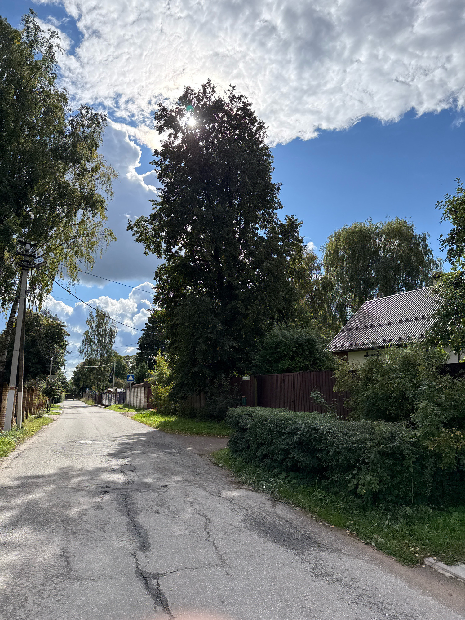 The image captures a view looking down a narrow, paved road in Vsevolozhsk, Russia, on a sunny day with dramatic clouds. Trees line both sides of the road, with a large, dense tree in the center foreground partially obscuring the bright sun. The road shows signs of wear, with cracks and patches visible. On the right side of the road, a house with a dark, ridged roof and white walls is visible, partially surrounded by lush green bushes. A dark brown wooden fence runs along the property line. On the left side of the road, a brick fence and more trees are present, along with a utility pole with electrical wires. The sky is a vibrant blue, with large, fluffy white clouds and some darker, more ominous clouds gathering. The scene suggests a quiet, residential area in a suburban or rural setting.