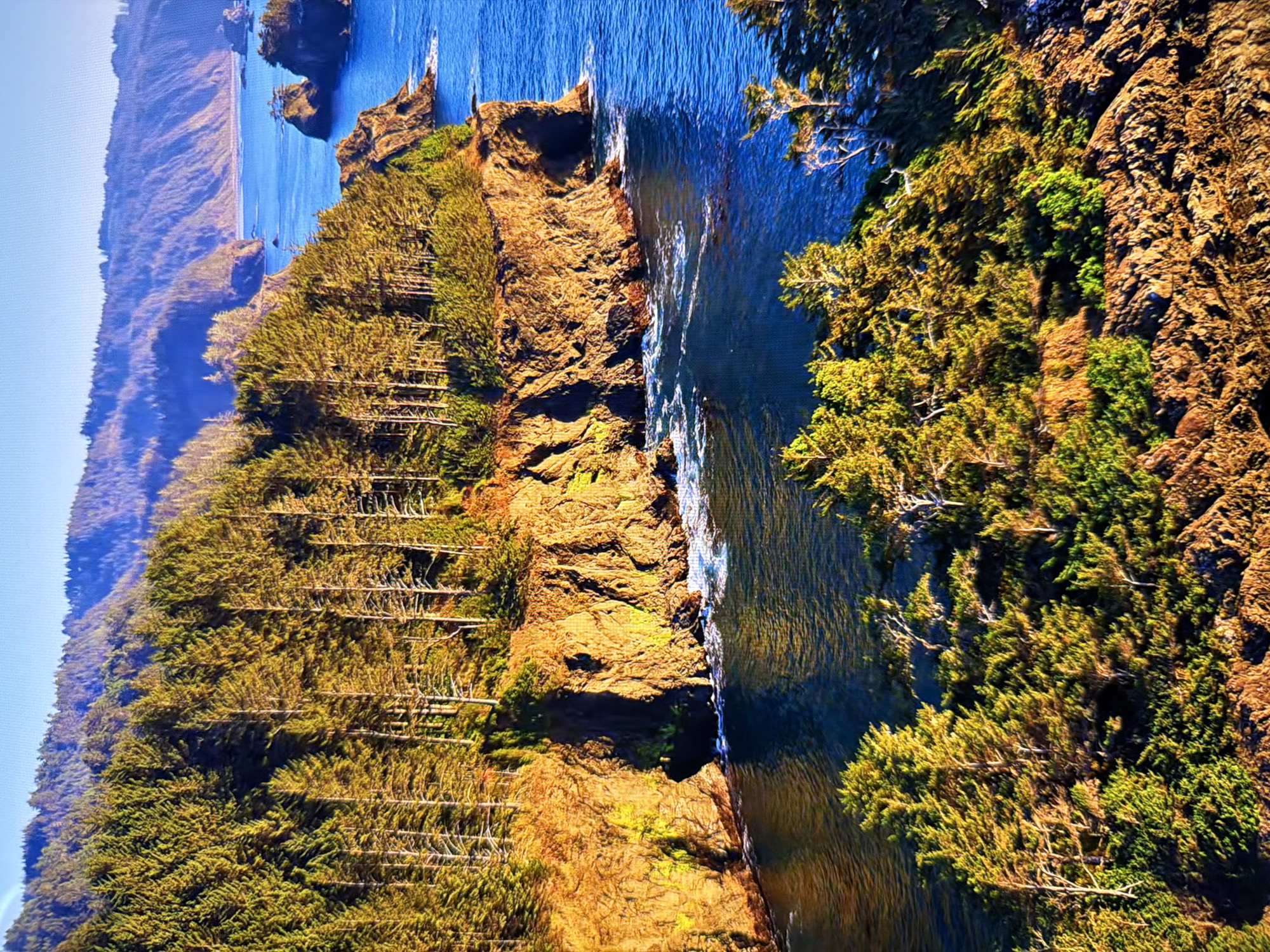 This is an aerial, wide-angle shot of a rugged coastline with a forest of coniferous trees meeting the ocean. The sun is setting or rising, casting a warm golden light on the trees and the rocky cliffs. The water is a deep blue, with white waves crashing against the shore. In the distance, rolling hills covered in trees fade into a hazy blue. There are no people or man-made structures visible in the image. The scene depicts a natural, remote landscape. The location is not in the city of Kyiv, Ukraine.