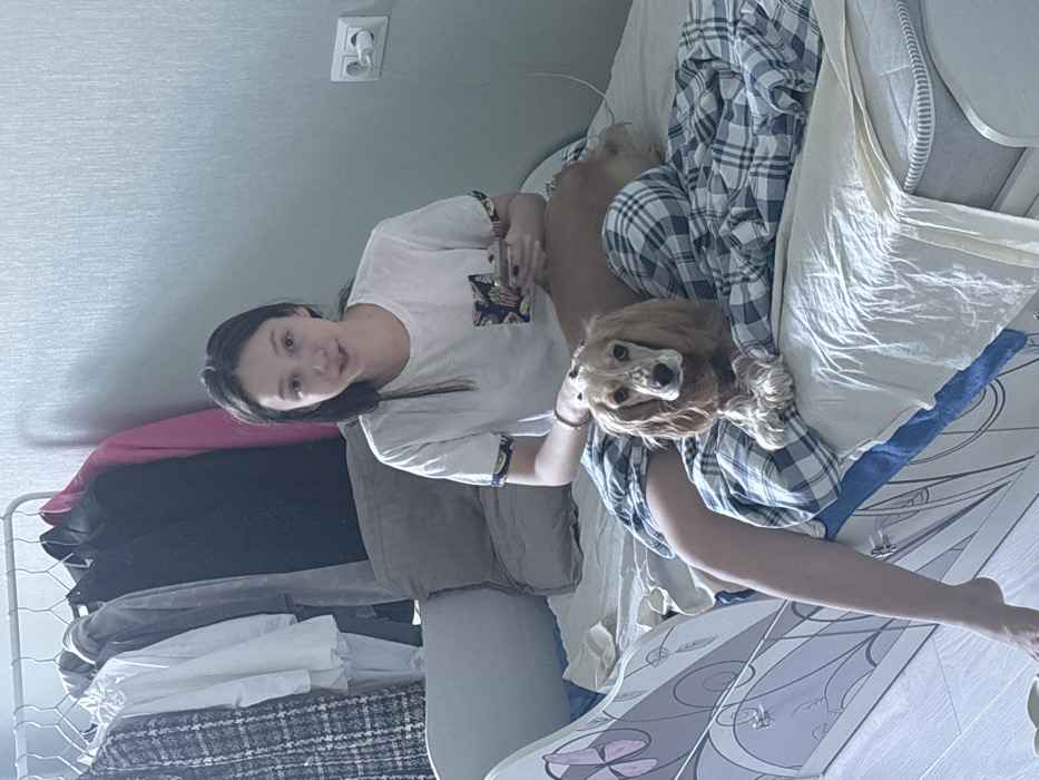 An indoor scene depicts a young adult female and a dog on a bed in a residential room. The exact location within Saint Petersburg, Russia, is not discernible from the visual evidence. The female, with dark hair and fair complexion, is seated on the bed, looking directly at the camera with a slight smile. She wears a white short-sleeved t-shirt with patterned cuffs and a patterned left chest pocket, and plaid shorts. Her left hand rests on the back of a light brown and white speckled Cocker Spaniel-type dog, which is lying on the bed in front of her, facing the camera. Her right hand holds a smartphone. The bed has a light-colored mattress, blue and white plaid bedding, and a decorative headboard/side panel featuring light purple floral motifs. Behind the bed, a white freestanding clothes rack holds several garments. The wall is covered in light blue textured wallpaper, with a white electrical outlet and charger visible on the right side. A light-colored floor is partially visible in the bottom left.
