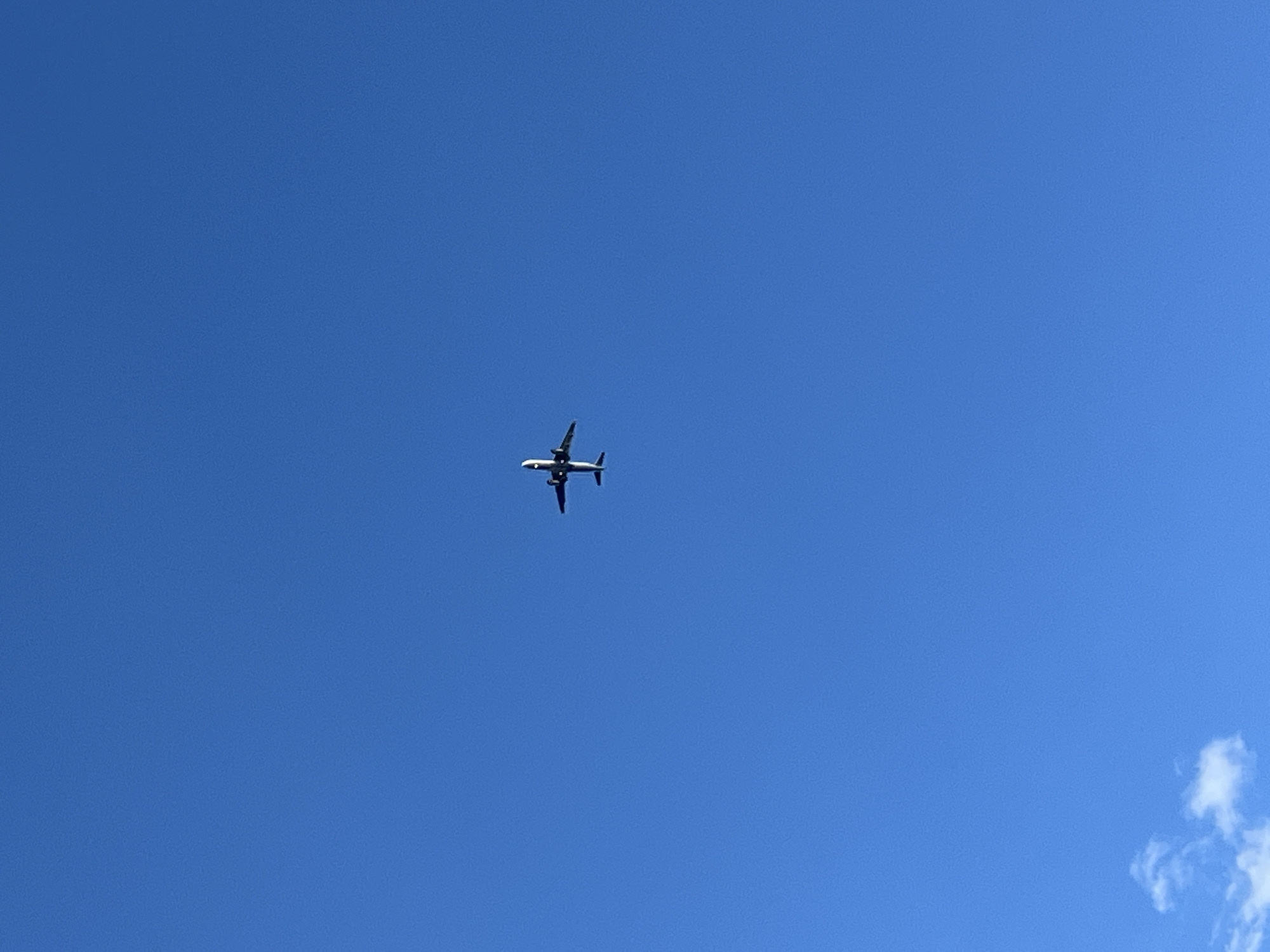 An airplane is captured in mid-flight against a clear blue sky. The aircraft is seen from below, with its wings outstretched and engines visible. A small wisp of cloud is present in the lower left corner of the frame. The image appears to be taken in Prijevor, Montenegro, given the context.