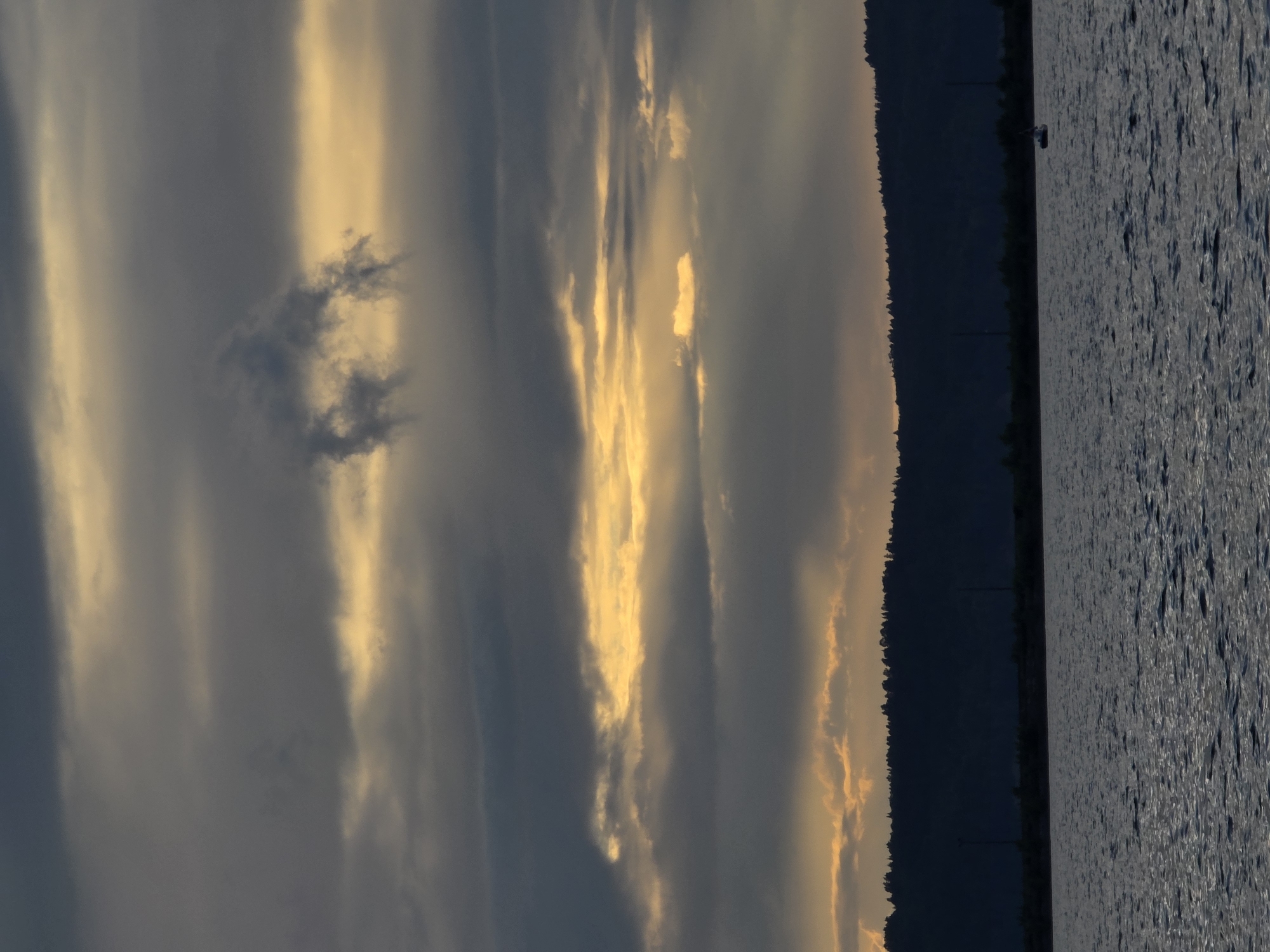 This media file depicts a panoramic view of a natural landscape at dusk. The scene is divided into three main sections: the sky, a dark treeline, and a body of water.
The sky occupies the left and central portions of the image and is filled with dramatic clouds. Streaks of golden light, likely from the setting sun, pierce through the darker, grey clouds, creating a striking contrast. One dark, wispy cloud formation is particularly prominent in the upper left quadrant. The overall mood of the sky suggests a dynamic and potentially dramatic weather event, or simply the vibrant colors of a sunset.
A dark, silhouetted treeline runs vertically along the right edge of the sky section, separating it from the water. This treeline appears dense and stretches as far as the eye can see, suggesting a forested area bordering the water.
The rightmost section of the image is dominated by a vast expanse of water. The surface of the water is textured with numerous ripples and small waves, reflecting the dim light of the sky. The water appears dark, possibly due to the time of day and the limited light. A small, dark object, possibly a boat or buoy, is visible on the water near the treeline in the upper right quadrant.
The time of day is clearly dusk, as indicated by the subdued light and the dramatic colors in the sky. The location cues, such as the treeline and the body of water, suggest a natural setting. The overall impression is one of natural beauty and tranquility, with a hint of the raw power of nature conveyed by the dramatic sky. There is no visible text in the media file.
