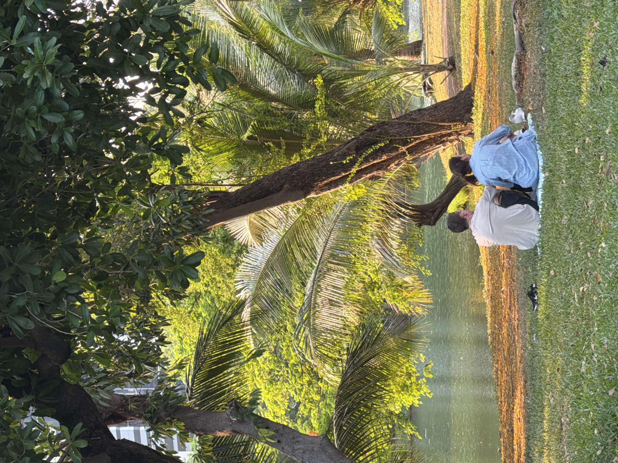 A ground-level, medium-shot photograph features two people sitting on a blanket near a body of water in what appears to be a park in Bangkok, Thailand. The image is slightly overexposed and displays rotated orientation.
The two individuals are positioned closely together on a blue blanket. One person is wearing a light blue striped shirt, while the other is wearing a white shirt and has dark hair. They are facing away from the camera, making it difficult to discern their actions or interactions.
The environment consists of a grassy area adjacent to a lake or river. Tall trees with broad leaves and palm trees provide shade and add to the natural setting. The light suggests it is late afternoon or early morning.
The scene appears to be peaceful and relaxed, possibly showing a couple enjoying a quiet moment by the water. The overall composition suggests an urban park or green space within Bangkok.