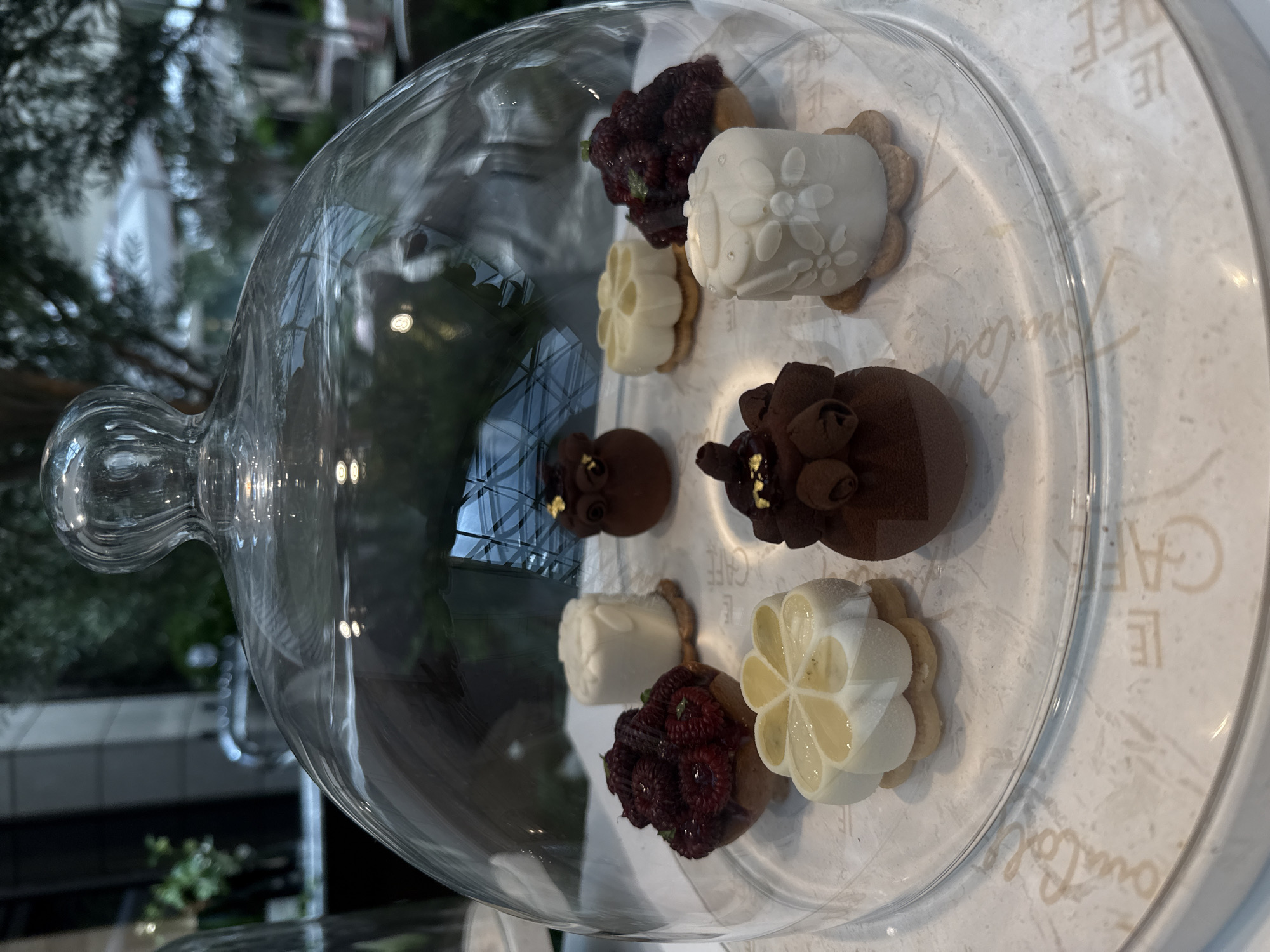 An interior shot captures a glass dome cloche resting on a decorative white platter. Within the cloche, seven small, elaborately decorated pastries are arranged. Three dark chocolate pastries, shaped like small spheres with swirling chocolate embellishments and gold leaf accents, are positioned at the top and right of the arrangement. Four white or off-white pastries are also present: one cylindrical pastry adorned with a floral pattern and small white dots, another cylindrical pastry with a simple white exterior, and two pastries with a hexagonal flower-like shape, one appearing to be white with a lighter yellow interior. Two of the white pastries are topped with what appear to be fresh red berries. The platter on which the pastries sit is white with a subtle marbled pattern and faint, stylized lettering that spells out "CAFE". The background is softly blurred, showing glimpses of greenery, possibly trees, and architectural elements, suggesting an indoor or semi-outdoor setting. The lighting appears to be ambient indoor lighting, highlighting the sheen on the glass dome and the textures of the pastries. The scene is likely in a cafe or dessert shop.