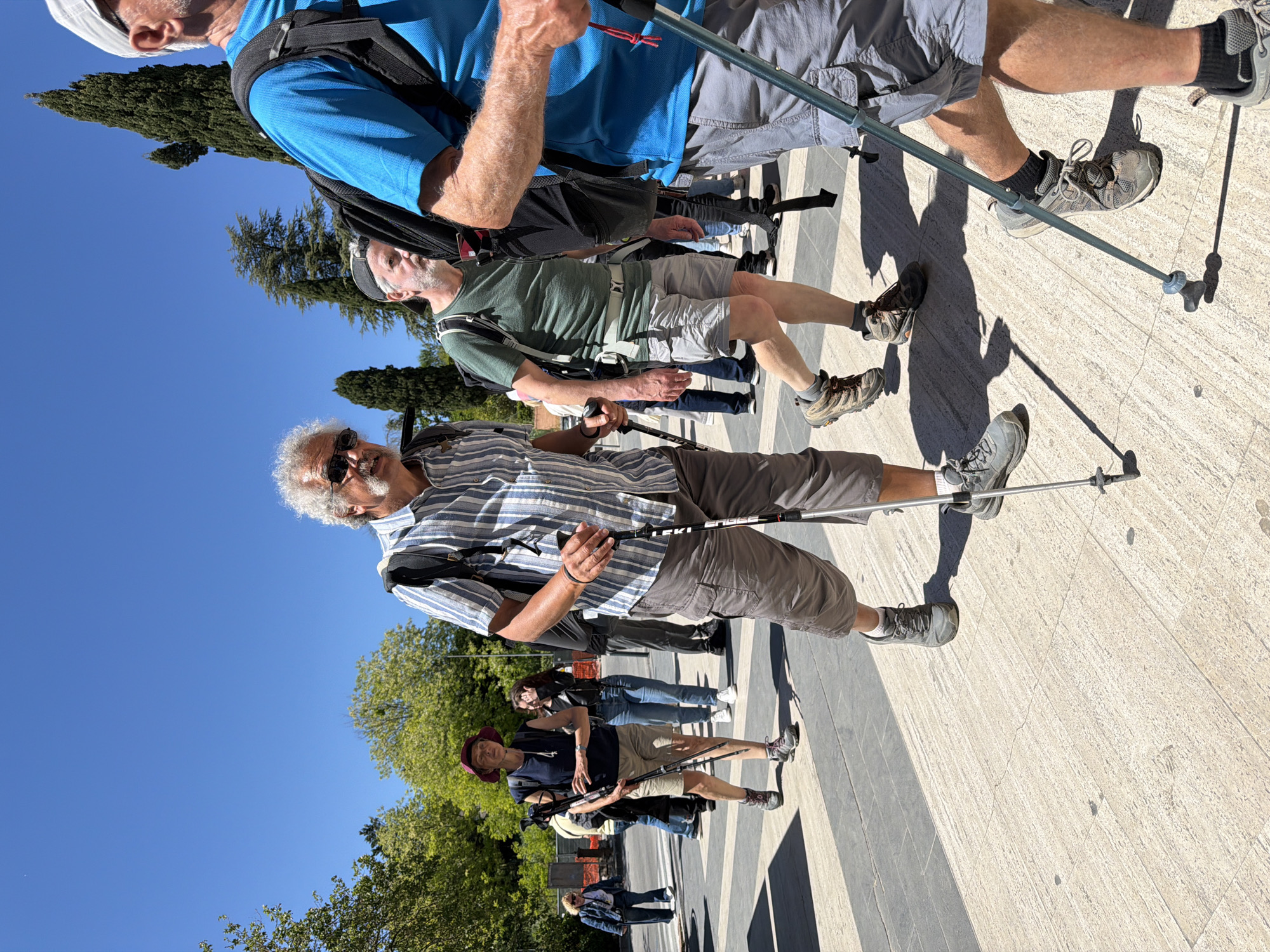 The image captures a group of people, predominantly older adults, on an outdoor walking tour or hike, likely in San Gimignano, Italy. The setting is a bright, sunny day, with a clear blue sky and lush green trees in the background, while the participants stand on a wide, light-colored paved area.
In the foreground, a man with white, curly hair and a beard, wearing sunglasses, a blue and white striped short-sleeved shirt, khaki shorts, and hiking shoes, holds a black hiking pole. Behind him, another man with grey hair and a beard, dressed in a green short-sleeved shirt, light grey shorts, and hiking shoes, carries a backpack and also uses a hiking pole. A third man in a blue shirt, grey shorts, and a backpack is partially visible, holding a hiking pole.
Several other individuals are visible further back, some also equipped with hiking poles. One woman stands out with a red hat, dark top, and beige shorts. Strong, distinct shadows cast on the paved ground indicate bright midday or early afternoon sun. The brand "LEKI" is visible on one of the hiking poles. The clear weather and the group's attire suggest a pleasant day for outdoor exploration.