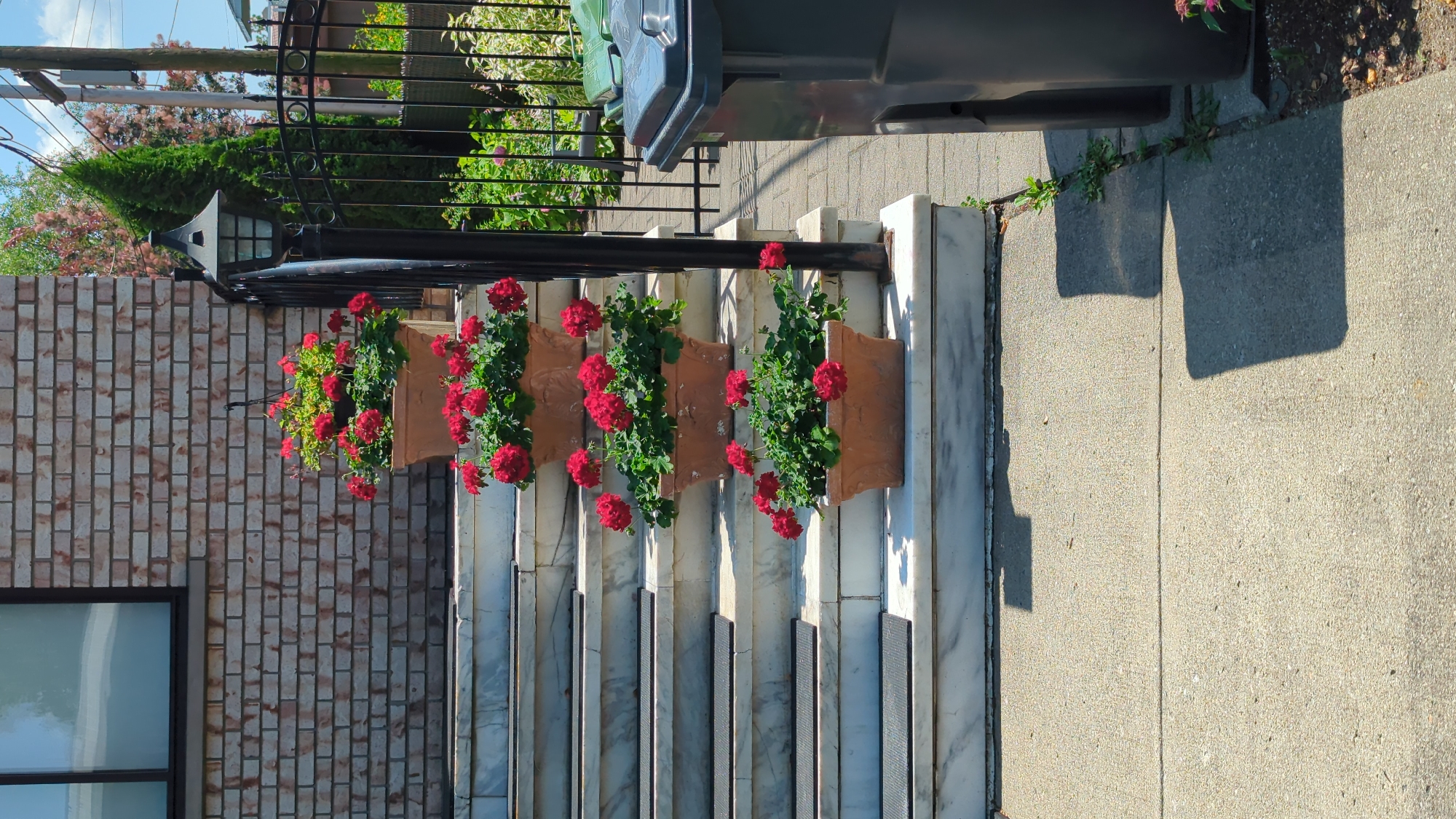 The image depicts a row of terracotta planters filled with red geraniums arranged on a white marble staircase. The staircase leads up to a brick building with a dark-framed window. A black metal fence and a lamppost are visible to the right of the stairs, with a trash bin and greenery beyond. The scene is set outdoors on a sunny day, casting shadows on the concrete walkway in the foreground. The architectural style and landscaping suggest a residential area. This image is believed to have been taken in the city of Montreal, Canada.