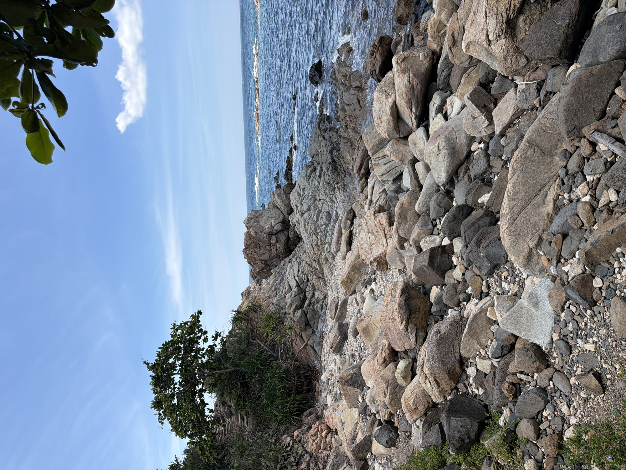 The image shows a rocky coastline with the sea in the background under a clear blue sky with some scattered clouds. The foreground is dominated by a variety of rocks and pebbles of different sizes and colors, ranging from dark gray to light brown and pinkish hues. A green tree with lush foliage is visible on the left side of the image, growing amongst the rocks and vegetation. The sea is a deep blue and appears calm with small waves lapping against the shore. In the distance, a few rocks or small islands are visible protruding from the water. The overall scene depicts a natural coastal landscape, likely a beach or a rocky shore in the city of Phú Lương, Vietnam. There are no people or man-made structures visible in the image.
