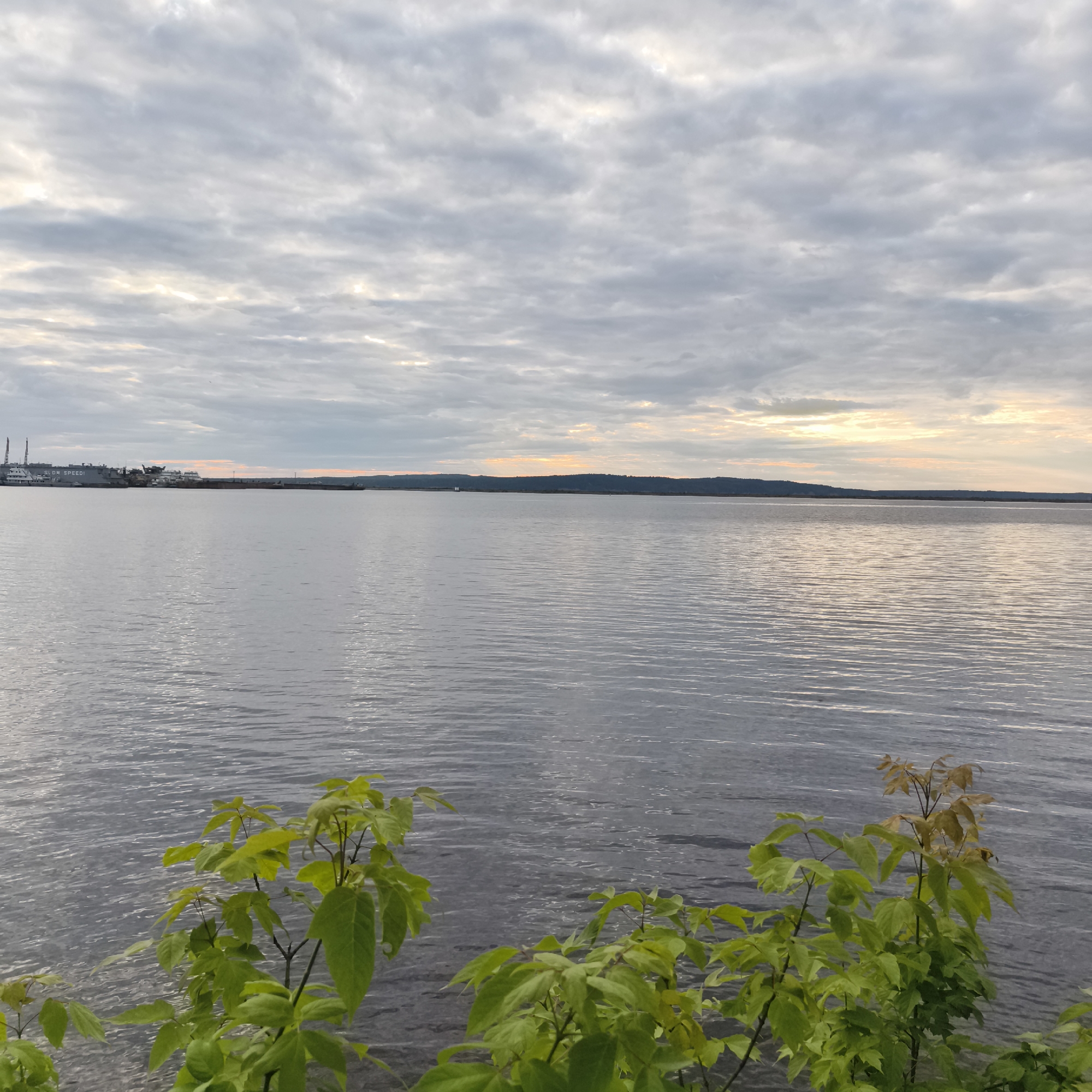 This is a photograph of a body of water with a distant shoreline and a cloudy sky. In the foreground, on the right side of the image, are several green leafy plants. The water is calm with ripples reflecting the sky. On the left side of the distant shoreline, there appears to be a cityscape with some industrial structures and cranes. The sky is filled with grey and white clouds, with patches of pale yellow light visible near the horizon, suggesting either sunrise or sunset. The overall scene is serene and natural.
The image is located in Chaikovsky, Russia.