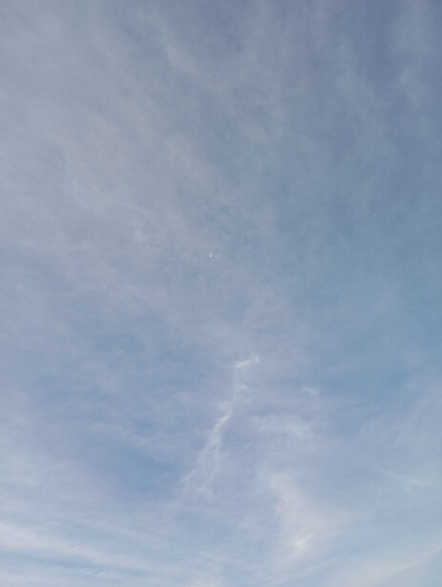 The image depicts a vast expanse of a pale blue sky filled with wispy, white clouds. A small crescent moon is faintly visible in the upper right quadrant of the frame. The clouds are scattered and thin, allowing the blue sky to dominate the scene. The lighting suggests it is daytime, possibly late afternoon or early morning, given the presence and visibility of the moon. No people, structures, or discernible landmarks from the city of Malyi Bukor, Russia, are present in this image. The focus is entirely on the atmospheric conditions of the sky.