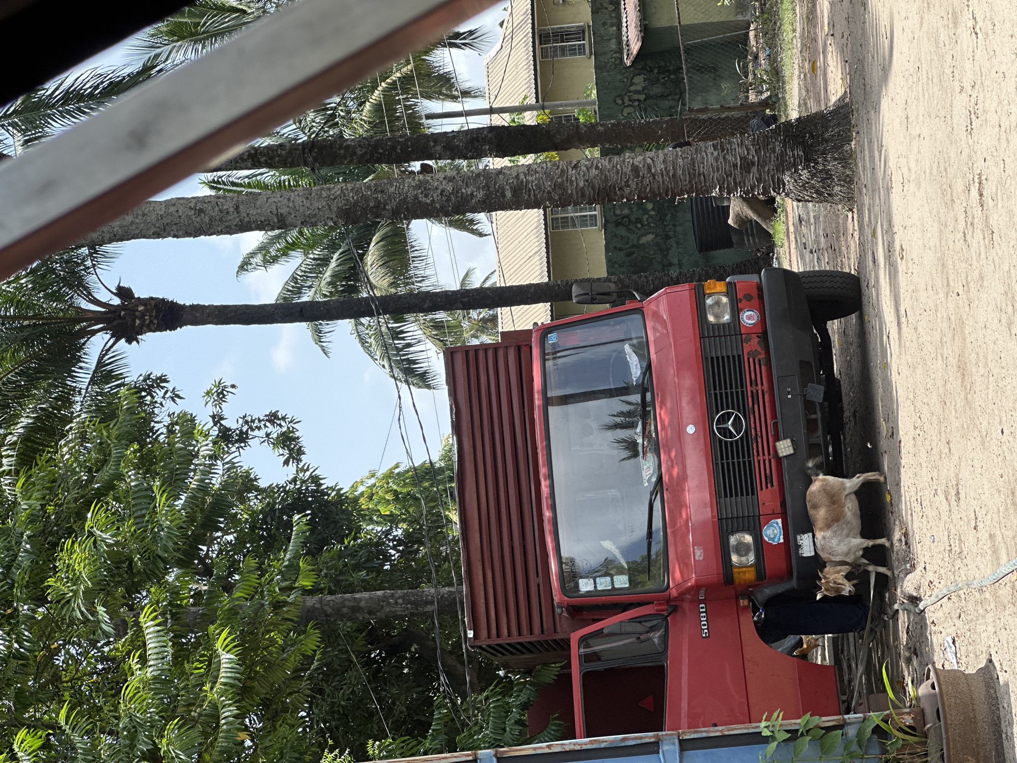 The image depicts a red Mercedes-Benz 508D truck parked on a dirt road in what appears to be a tropical environment. The truck has an open door and a cargo container attached. A goat is lying on the ground near the front of the truck. Palm trees and lush green vegetation are visible in the background. Based on the environment and truck model, the location is likely Lagos, Nigeria.