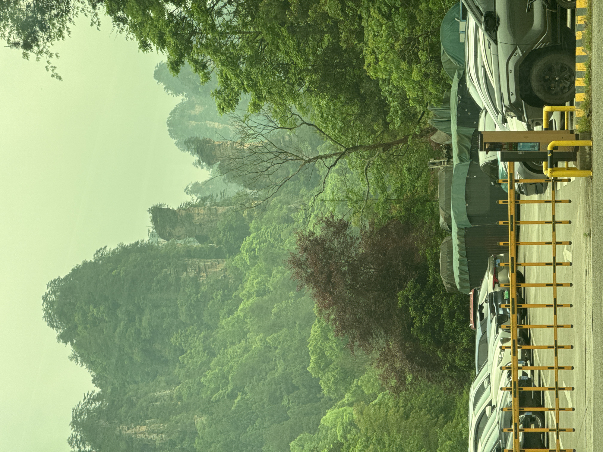 The image depicts a scenic landscape of the Luoguta, China area, juxtaposed with a parking lot. Lush, green, tree-covered hills rise in the distance, partially obscured by mist, creating a hazy, ethereal atmosphere. Amidst the greenery, distinctive rock formations or cliffs are faintly visible. In the foreground, a line of parked vehicles is seen adjacent to a yellow metal barrier or gate. A ticket kiosk or payment station is also present near the barrier. The composition presents a stark contrast between the natural beauty of the area and the man-made infrastructure of a parking area.