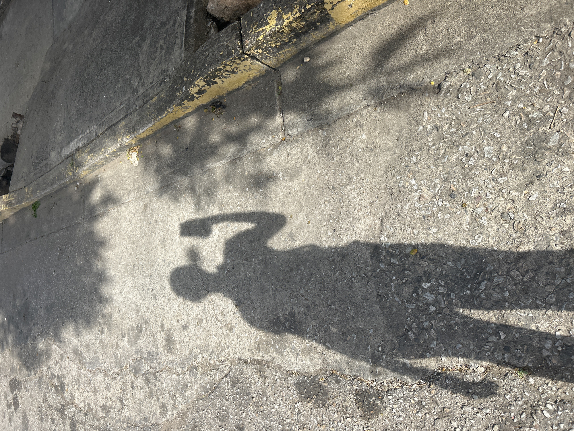 The image shows the shadow of a person holding a smartphone, taking a selfie. The shadow is cast on a concrete surface that appears to be a street or sidewalk. The concrete is rough and uneven, with visible stones and dirt. To the right of the concrete surface is a raised curb with yellow paint markings, indicating a street. Some shadows of tree leaves are also visible on the ground, suggesting the presence of trees nearby. The overall lighting suggests it is daytime with bright sunlight. The scene is consistent with an urban environment in Santa Ana, Venezuela, where such streets and curbs are common.