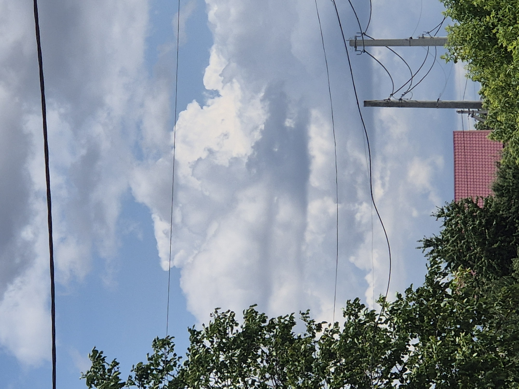 The image shows a daytime scene in Sozonivka, Ukraine, dominated by a cloudy blue sky. A large green tree is visible on the left side of the frame, with its leaves obscuring parts of the sky and utility wires. Several utility poles and wires are strung across the middle ground, with some poles appearing to be made of concrete. In the background, a roof of a building with red tiles is partially visible above dense green foliage. The overall impression is one of a semi-rural or suburban environment under a dynamic sky.