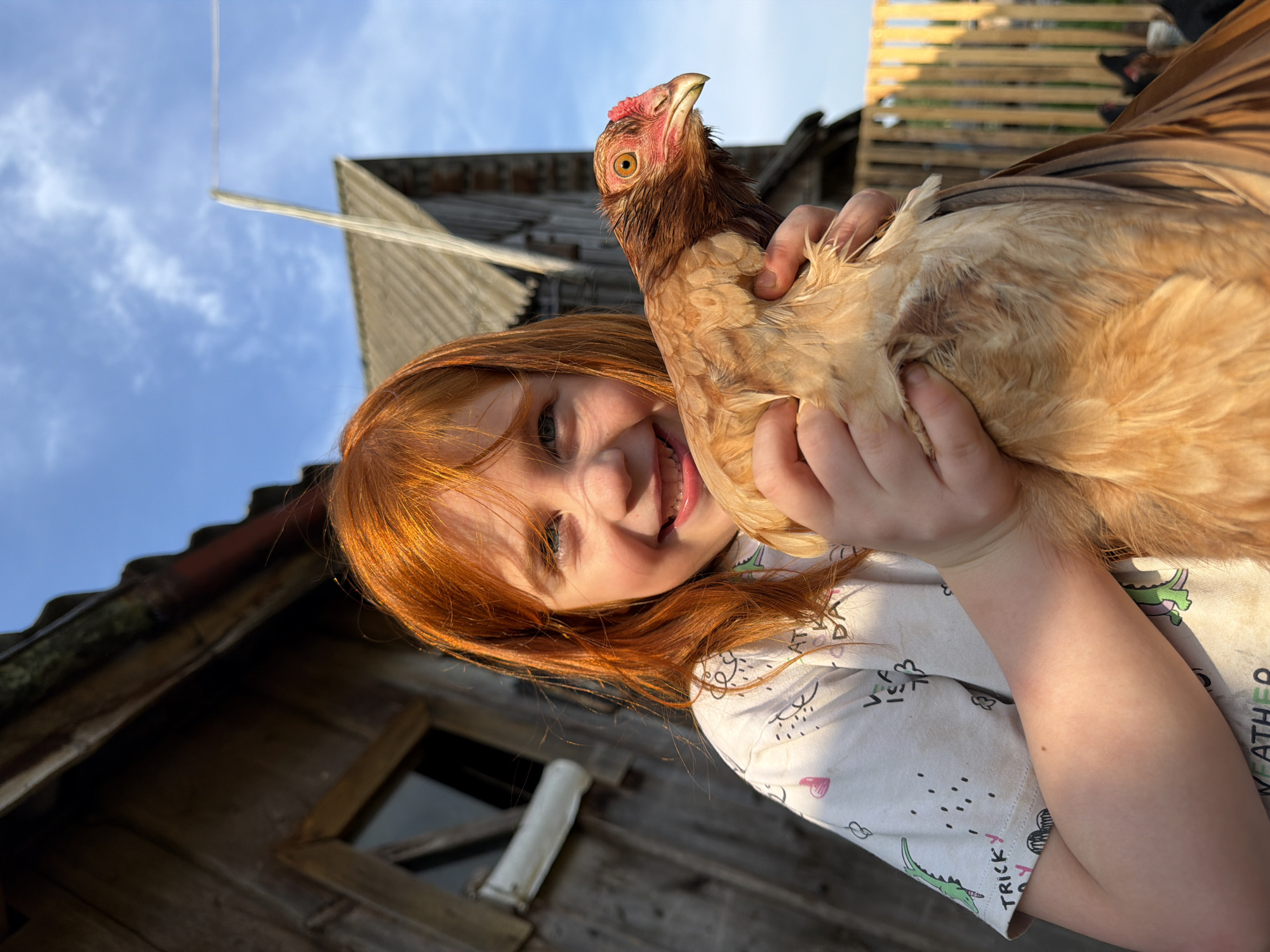 A young girl with bright red hair, smiling broadly, holds a light brown chicken in her arms. She is wearing a white t-shirt with a cartoon dinosaur print and text including "TRICKY" and "WEATHER". The background suggests a rural setting with a weathered wooden building and a wooden fence. The sky above is blue with scattered clouds. The lighting indicates it is daytime, likely late afternoon given the warm tones. The location is Panteleevka, Russia.