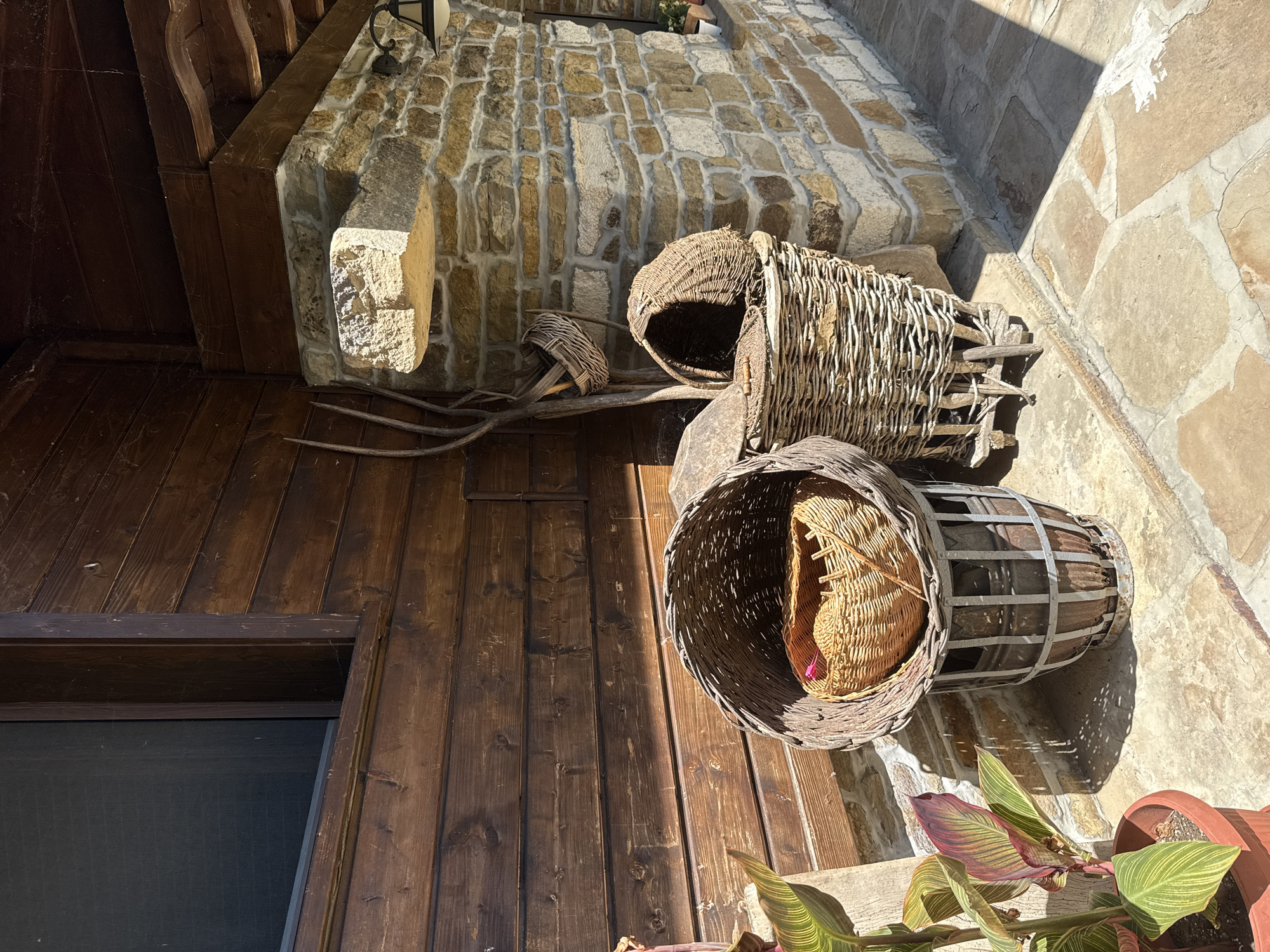In the city of Petrevene, Bulgaria, a sunlit outdoor scene depicts rustic elements of a building and its surroundings. The background features a wall constructed of irregular, light-colored stones, with visible mortar lines. To the left, a wooden wall with horizontal planks forms part of the structure, and a dark-framed window is visible.
In the foreground, several woven baskets are arranged. The largest, a dark, wide basket with a metal base, sits on the stone patio. Inside it, a smaller, lighter-colored woven basket is placed. To the right of this, another woven basket, taller and narrower, with wooden supports at its base, is positioned. It has a curved, domed lid or opening. A thin, dark branch or stick leans against the stone wall behind these baskets.
To the left, a potted plant with large, striped green and reddish-purple leaves stands in a terracotta-colored pot. The ground is paved with irregularly shaped stones, and shadows suggest a bright, sunny day. The overall impression is one of a rural or traditional setting.