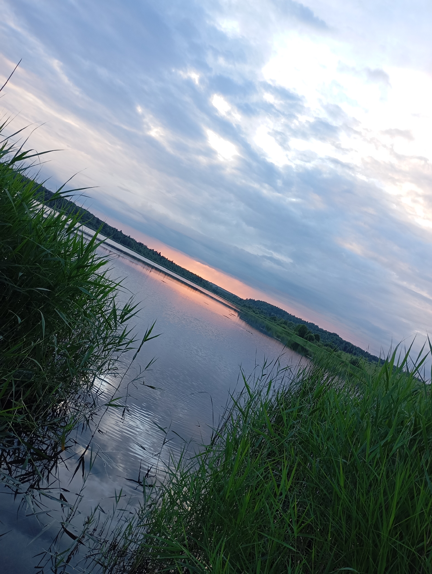 The image captures a serene natural landscape at dusk, likely in Ryabki, Russia. The foreground is dominated by lush green reeds and tall grass on both the left and right sides, framing a tranquil body of water. The water's surface reflects the sky and the surrounding environment with gentle ripples. In the distance, a tree-lined shore creates a dark silhouette against the horizon, gradually fading into the muted tones of the twilight sky. The sky itself is a canvas of soft blues, grays, and whites, with scattered clouds that are illuminated by the fading sunlight, casting a warm, rosy glow along the horizon. There are no people or animals visible in the scene. The overall impression is one of peacefulness and natural beauty.